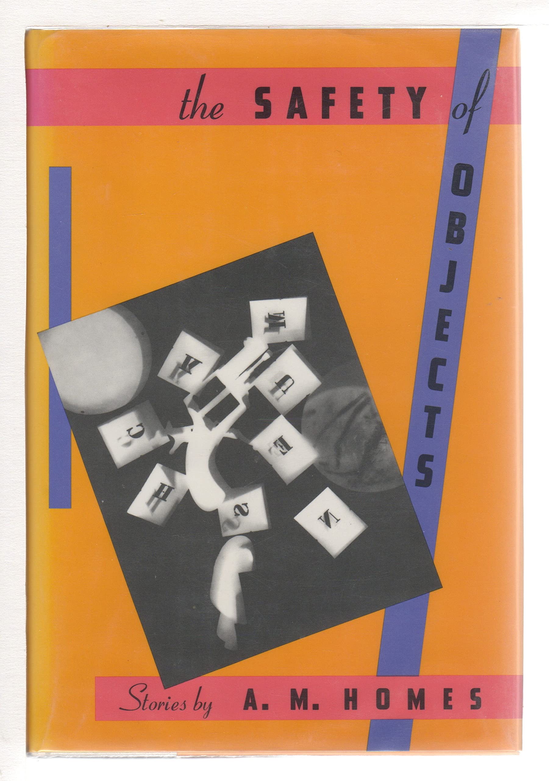 The Safety of Objects: Stories 9780393028843