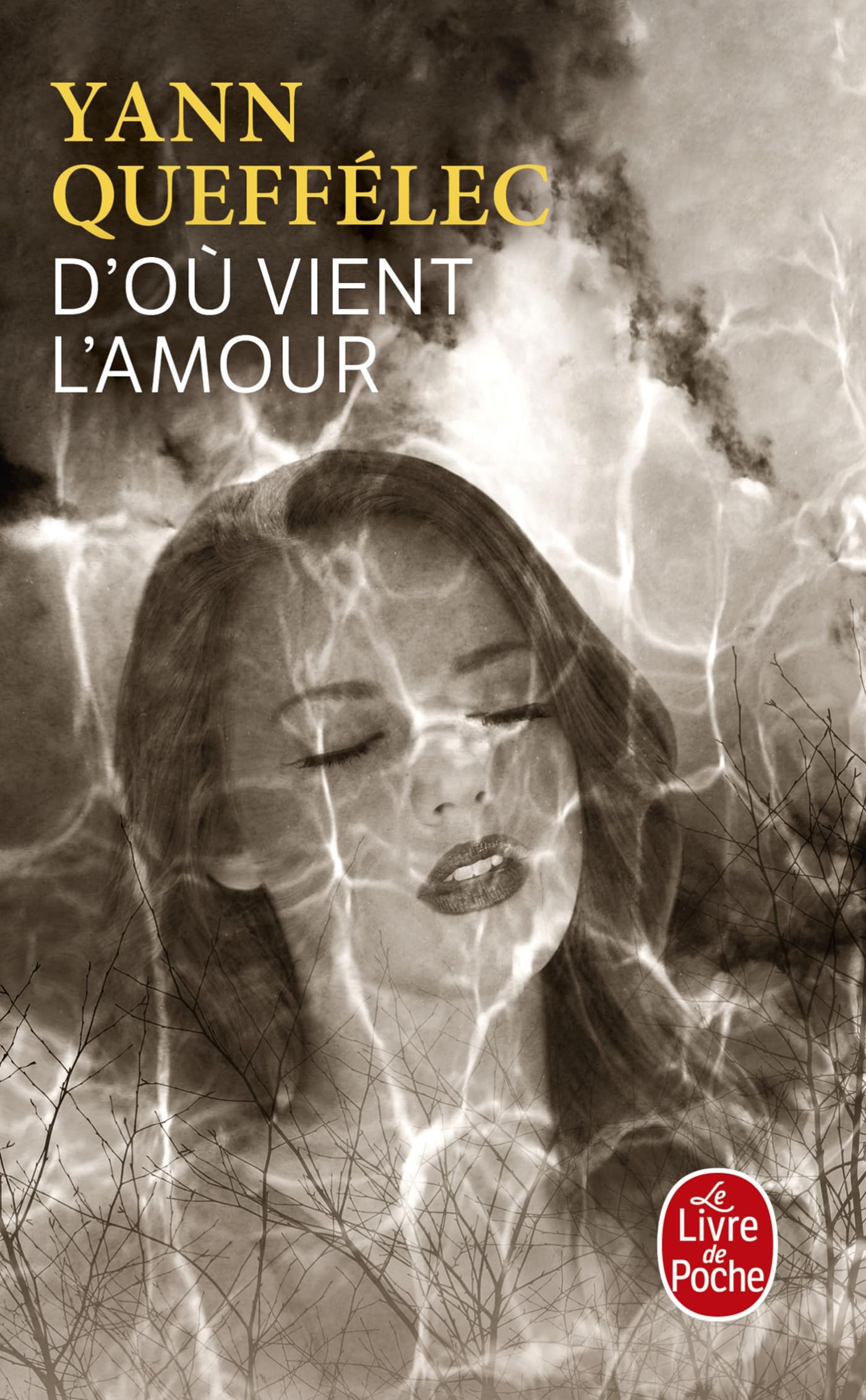 D'où vient l'amour 9782253245162