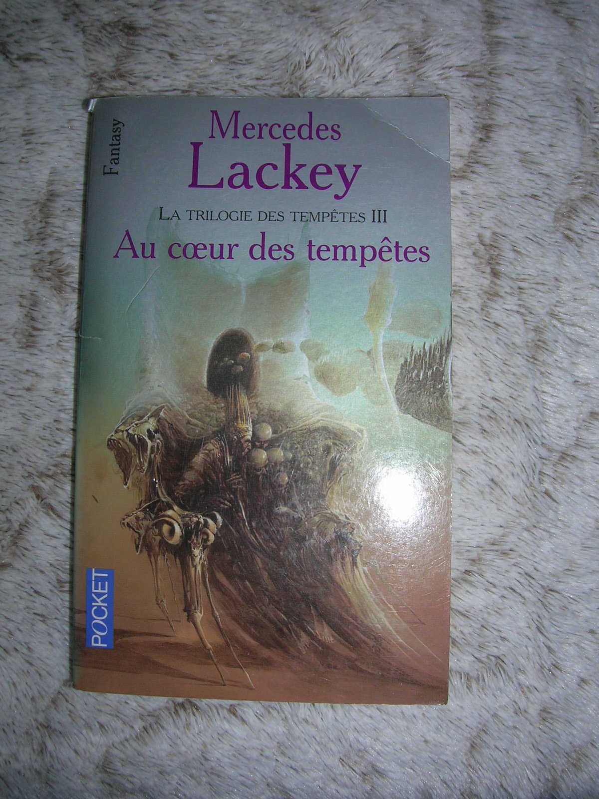 Au coeur des tempêtes 9782266088732