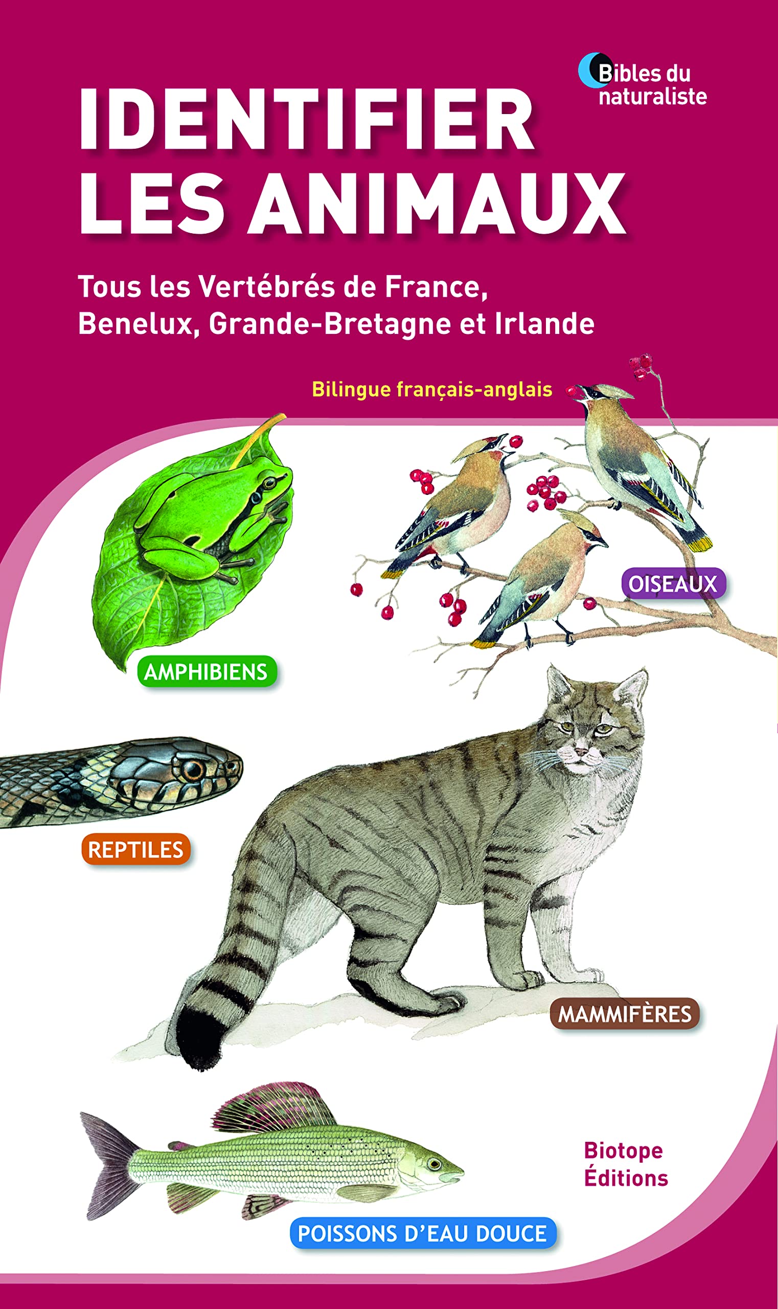 Identifier les animaux - Tous les vertébrés de France, Benelux, Grande-Bretagne et Irlande: BILINGUE FRANCAIS-ANGLAIS ET AMPHIBIENS, REPTILES, POSSONS D'EAU DOUCE, OISEAUX, 9782914817851