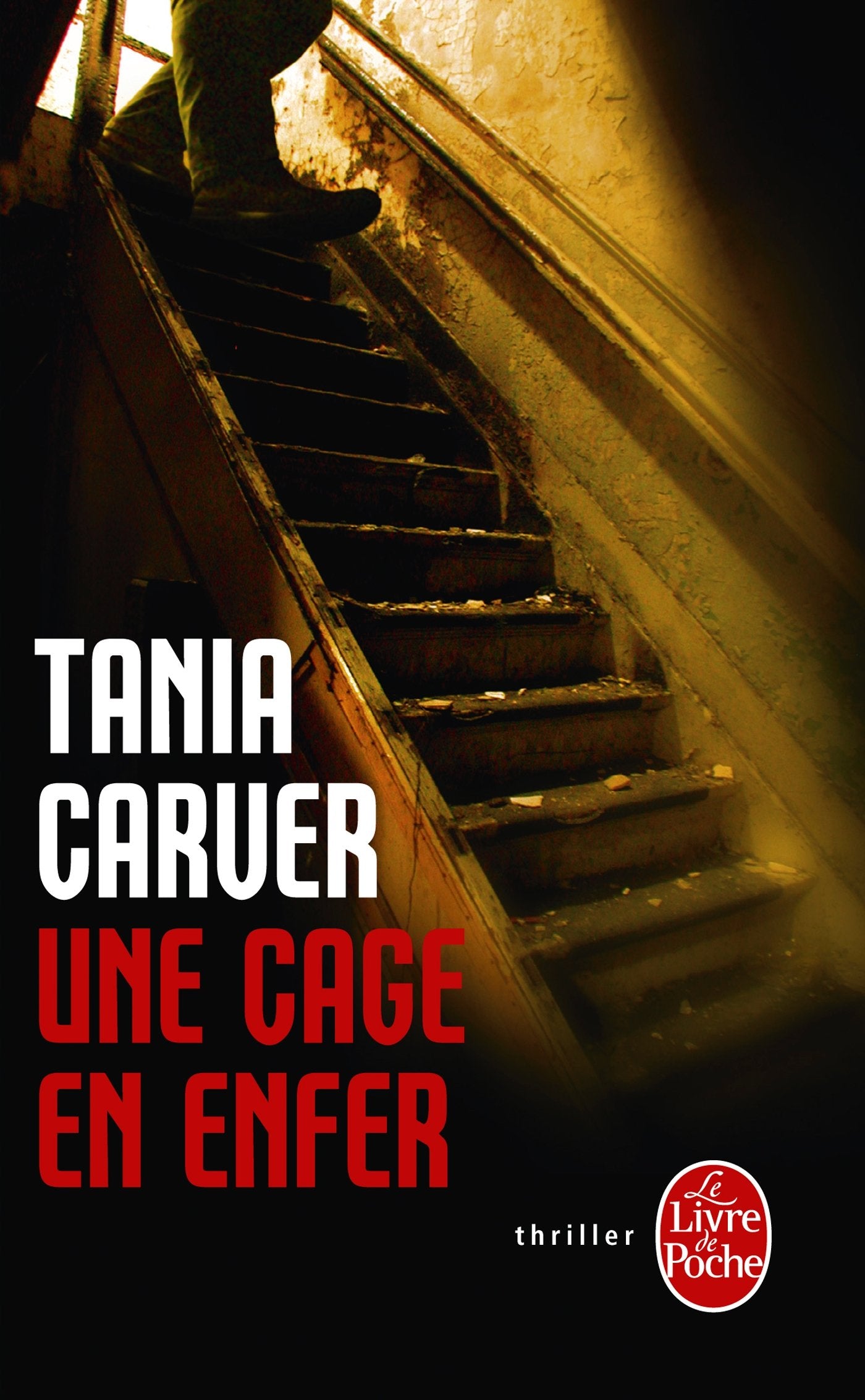 Une cage en enfer 9782253164876