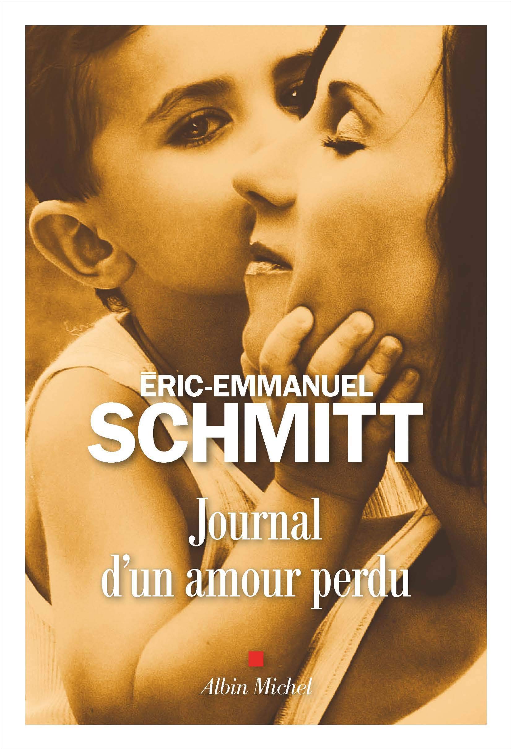 Journal d'un amour perdu 9782226443892