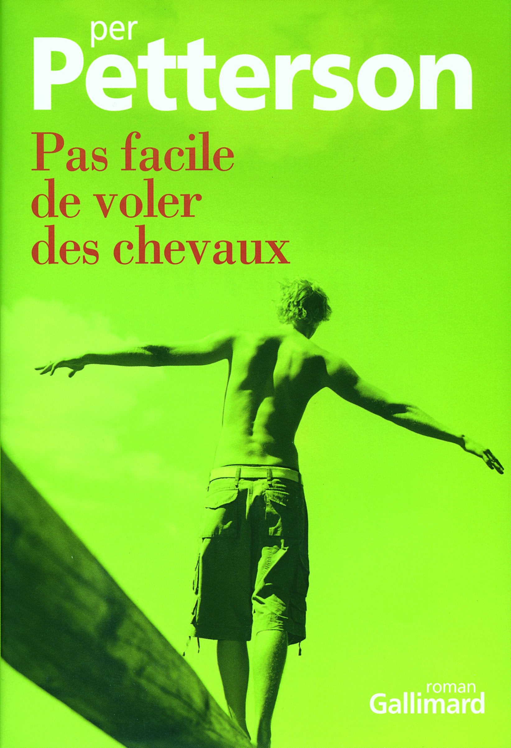 Pas facile de voler des chevaux 9782070774241