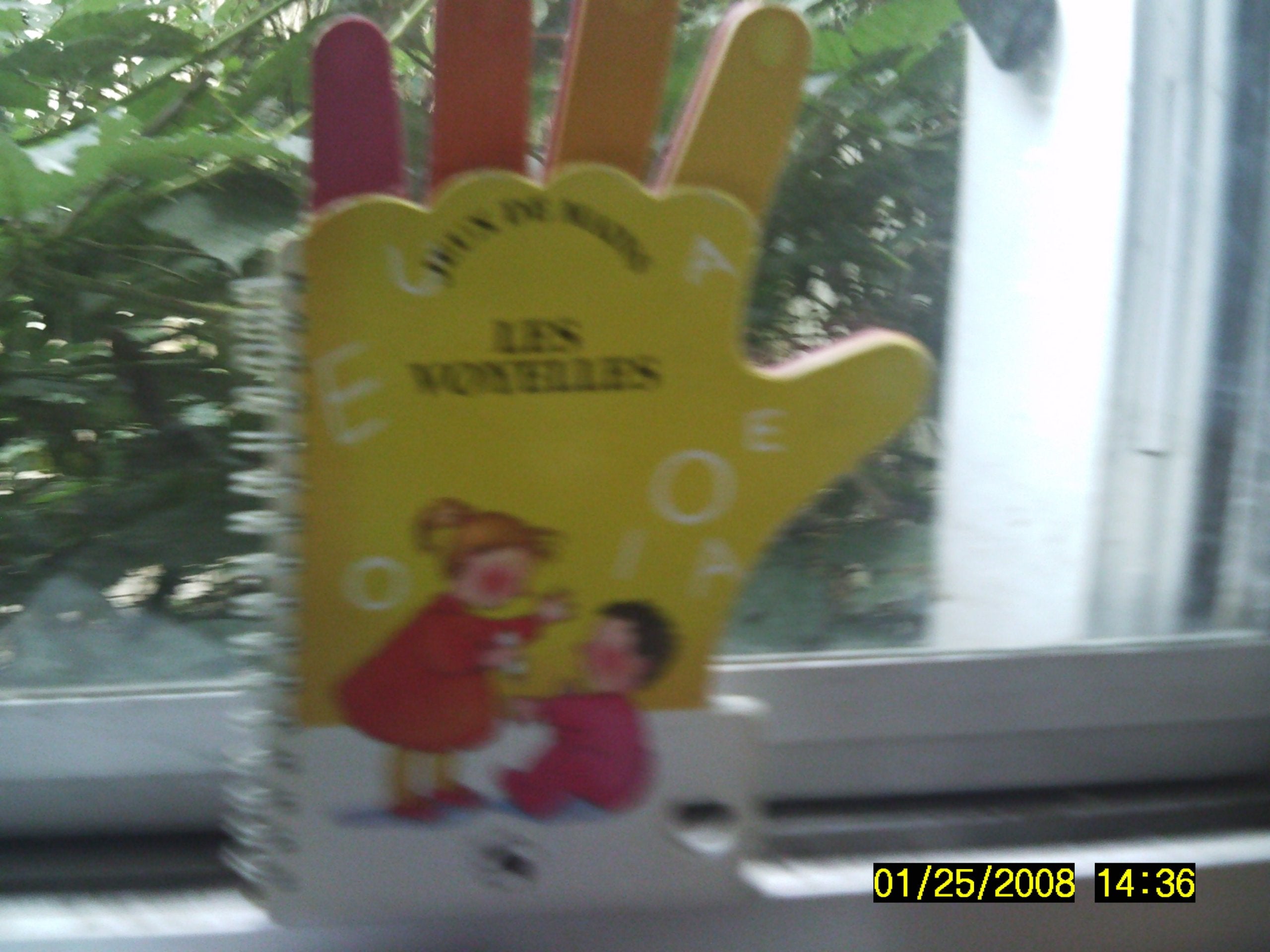 Les Voyelles 9782879471754