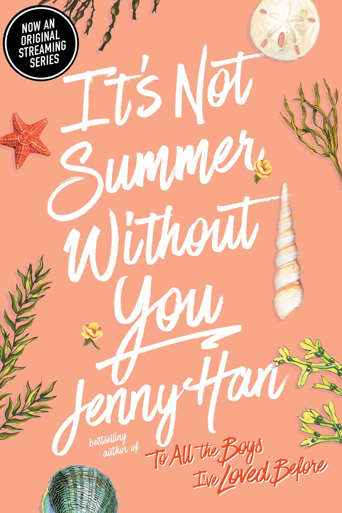 It's Not Summer Without You. 9781416995562