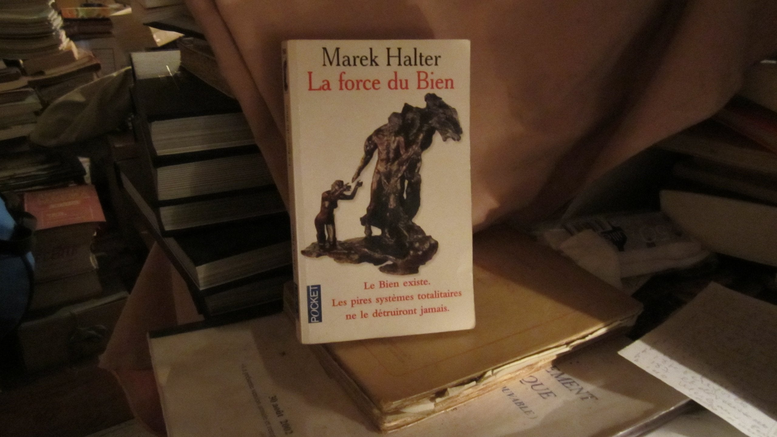 La Force Du Bien 9782266087001