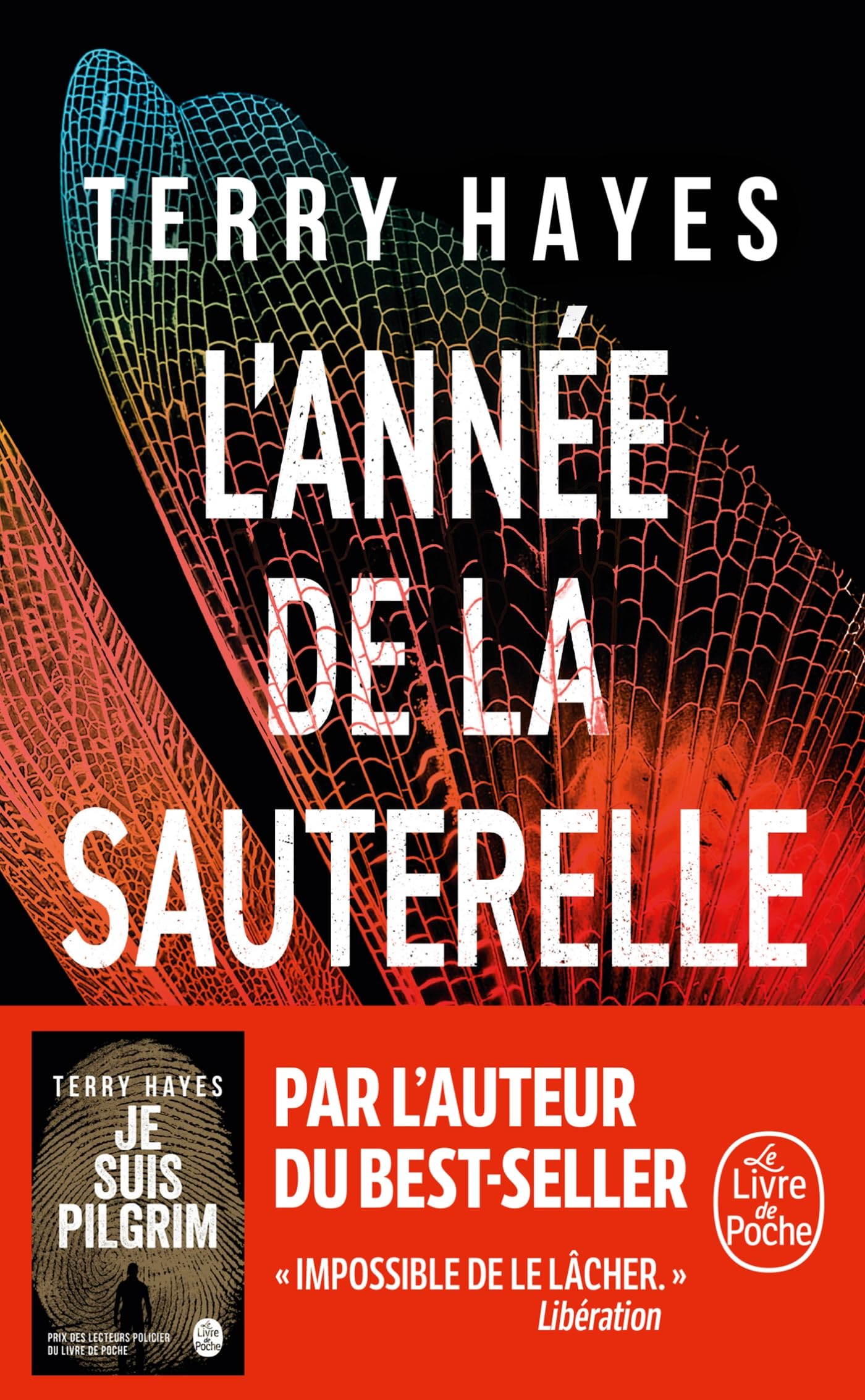 L'Année de la sauterelle 9782253250128