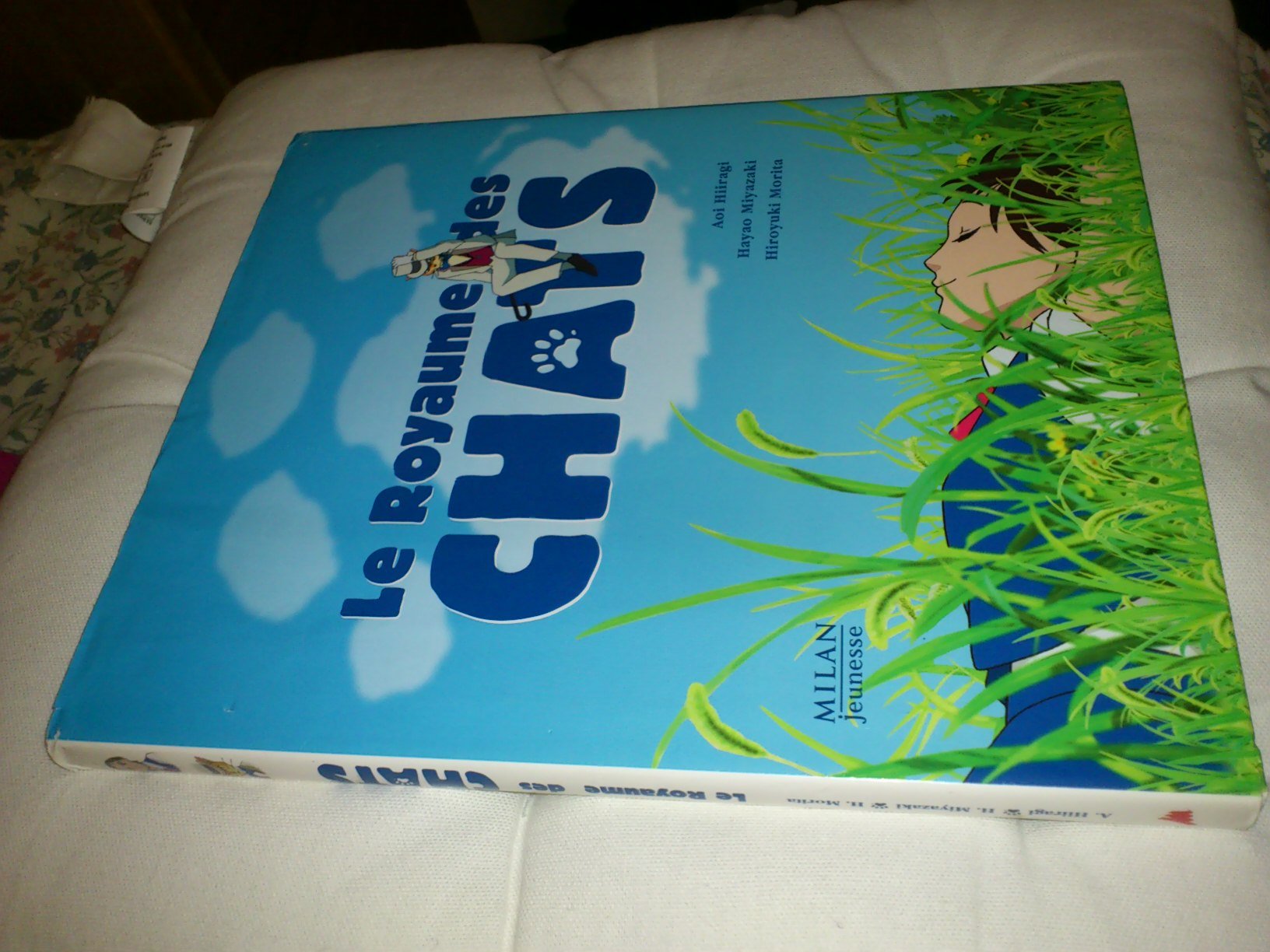 Le royaume des chats 9782745911902