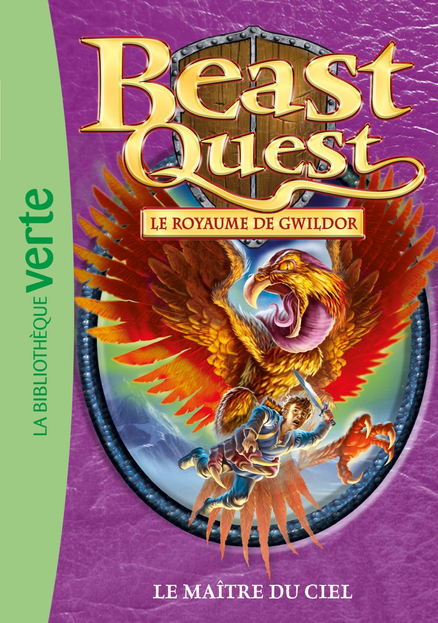 Beast Quest 30 - Le maître du ciel 9782012045439
