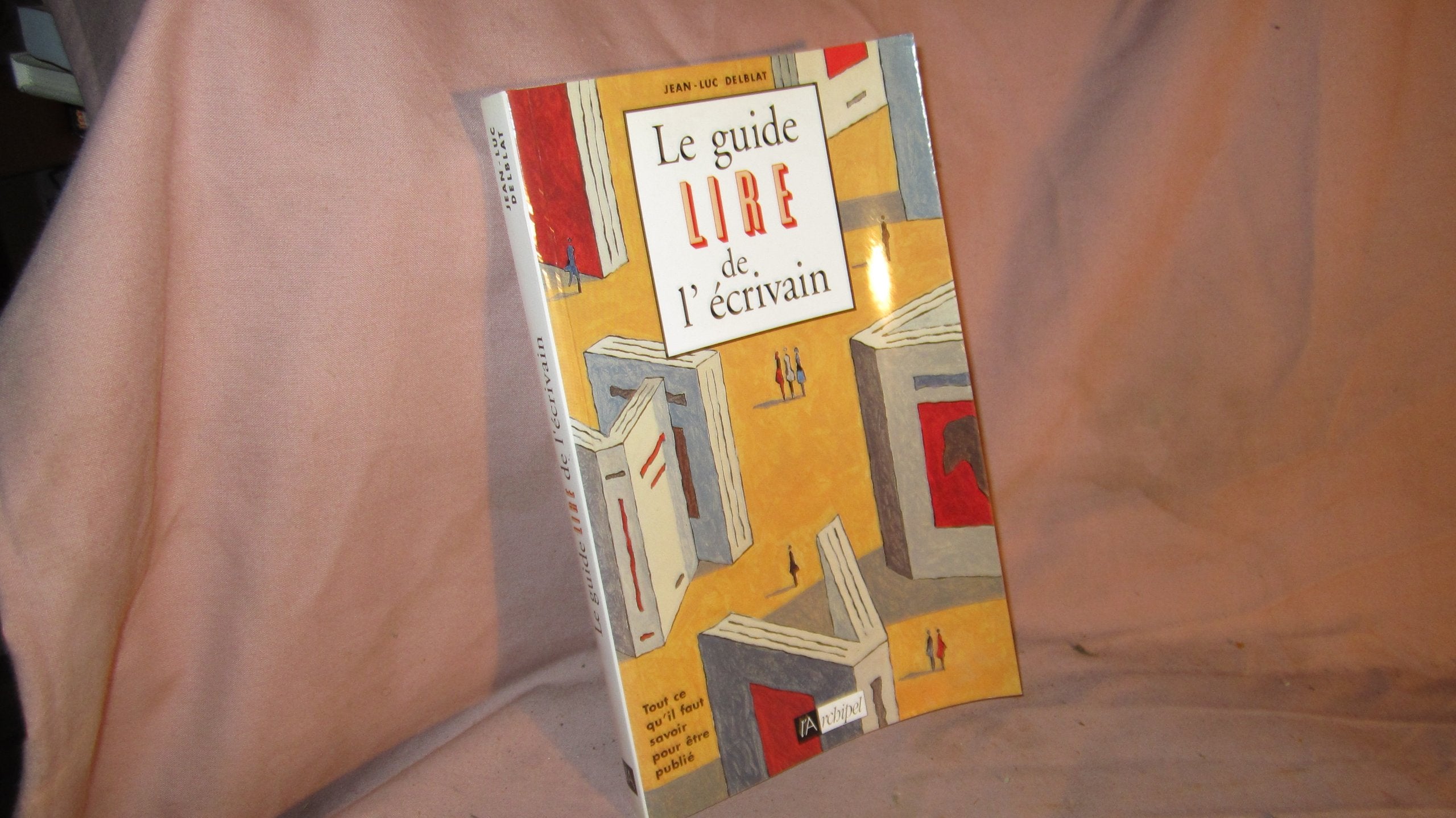 Guide lire de l'écrivain 9782841872350