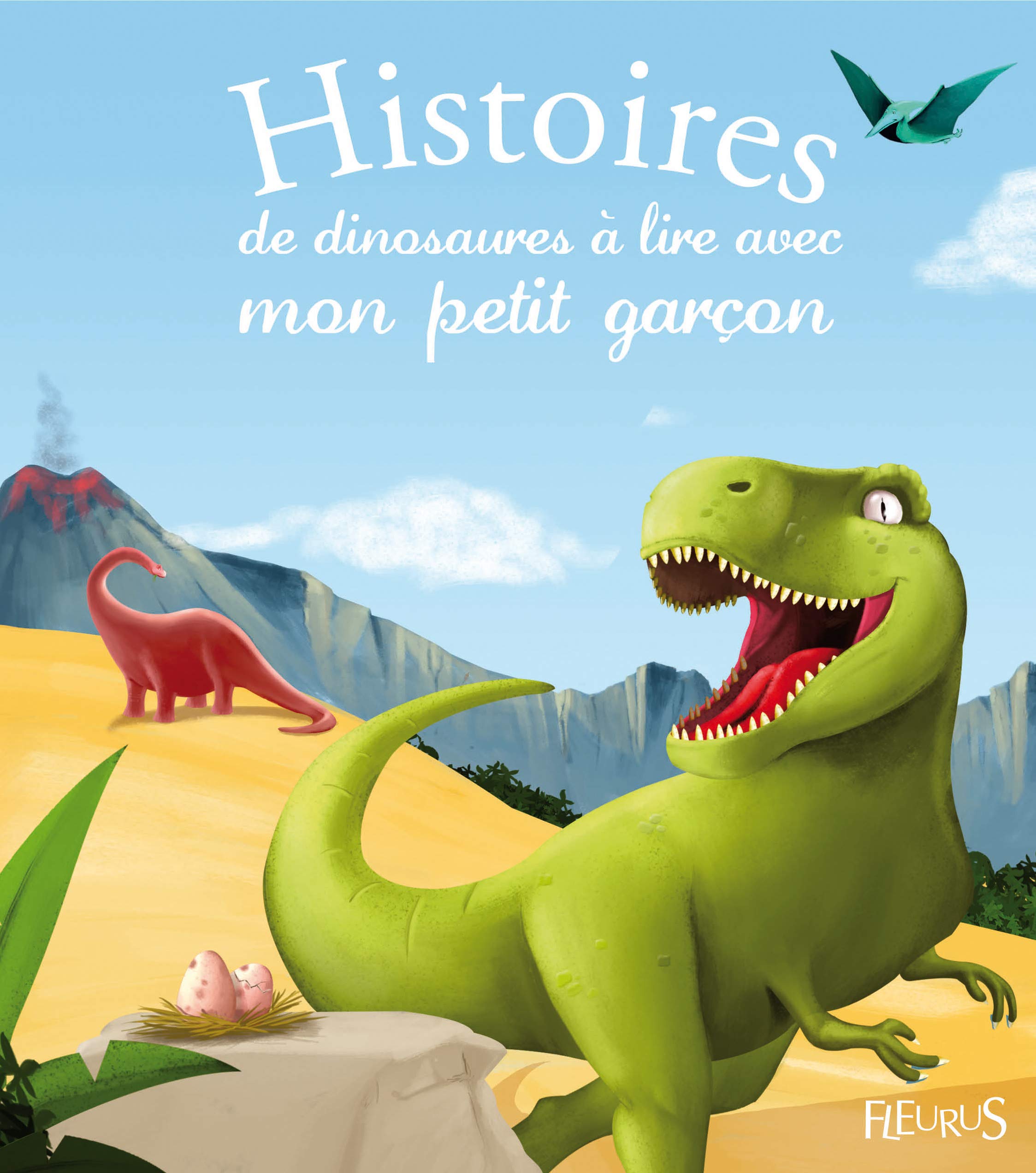 Histoires de dinosaures à lire avec mon petit garçon 9782215122555