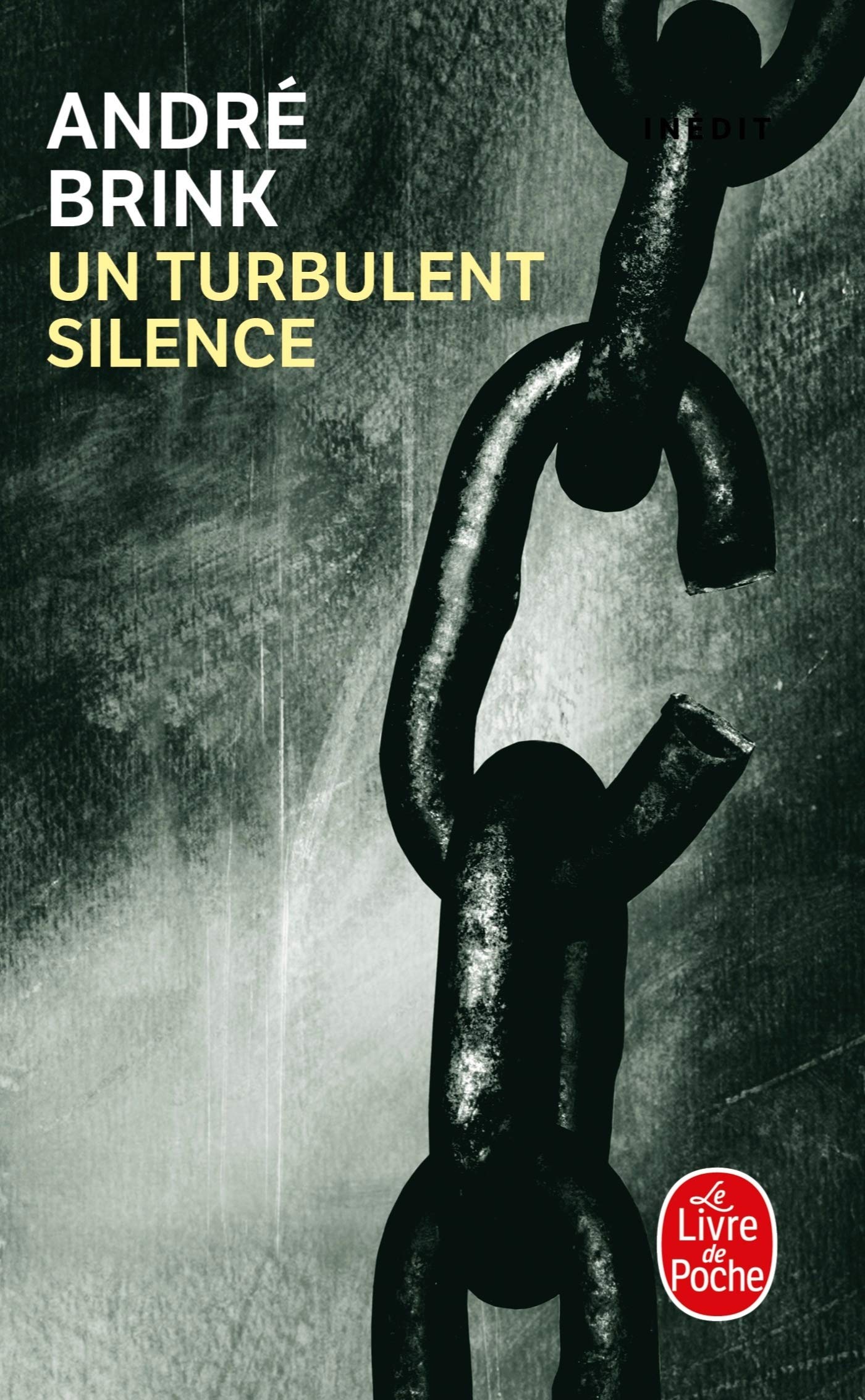 Un turbulent silence 9782253032113