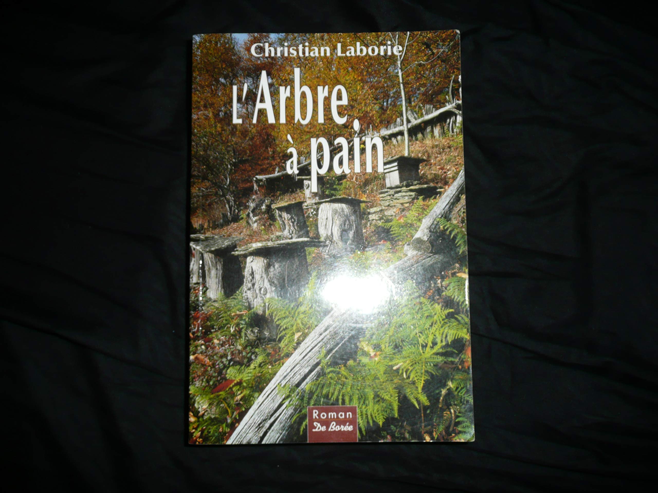 L'Arbre à pain 9782844941619