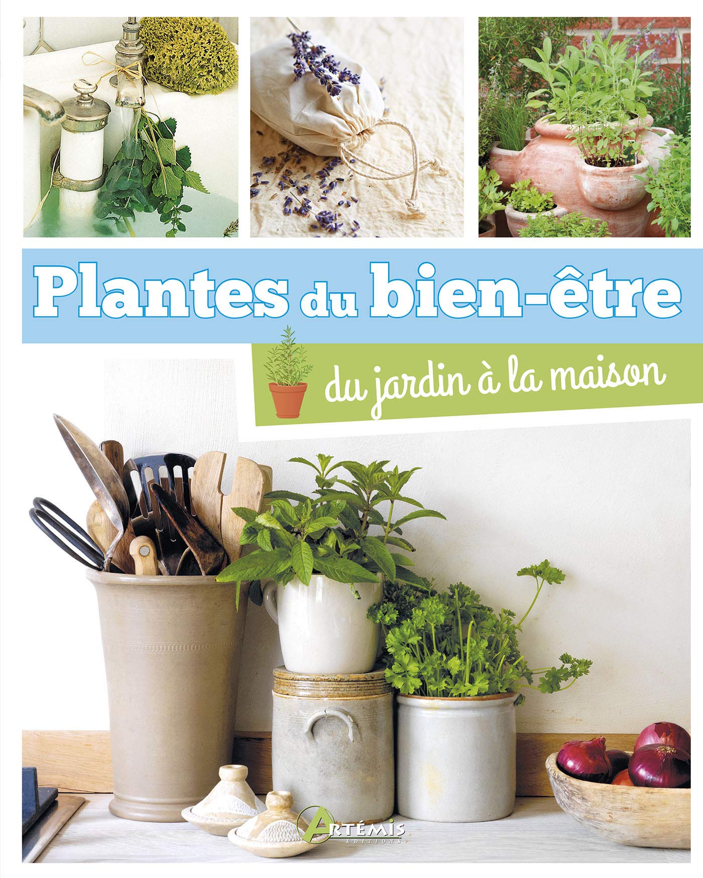 Plantes du bien-être: Du jardin à la maison 9782816009972
