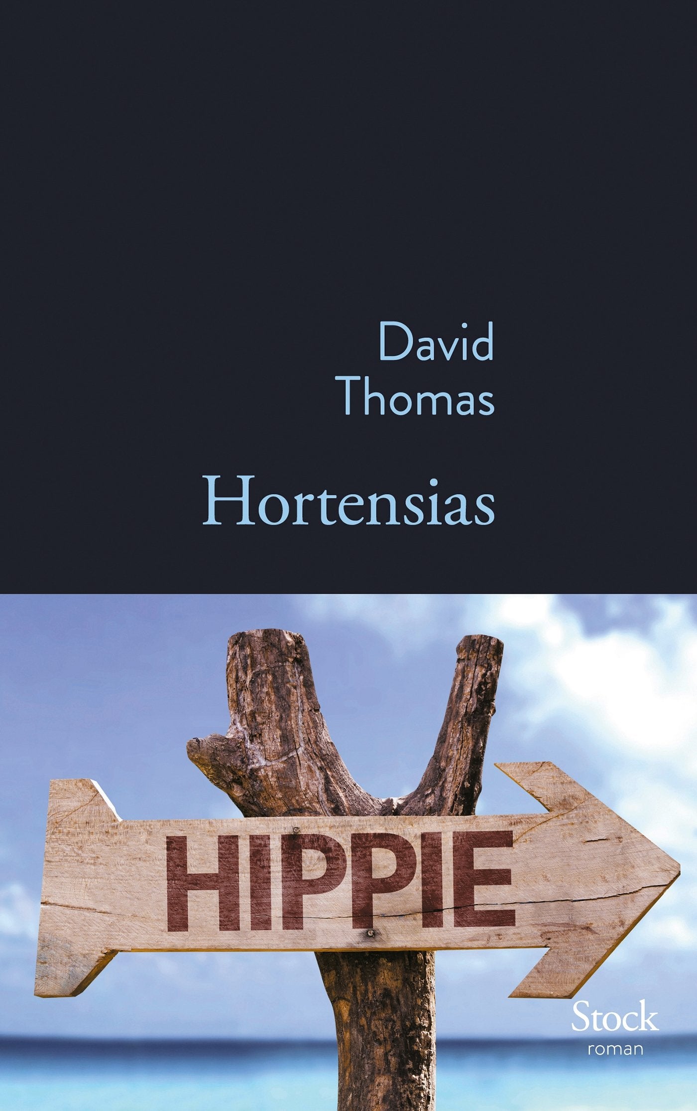 HORTENSIAS 9782234078055
