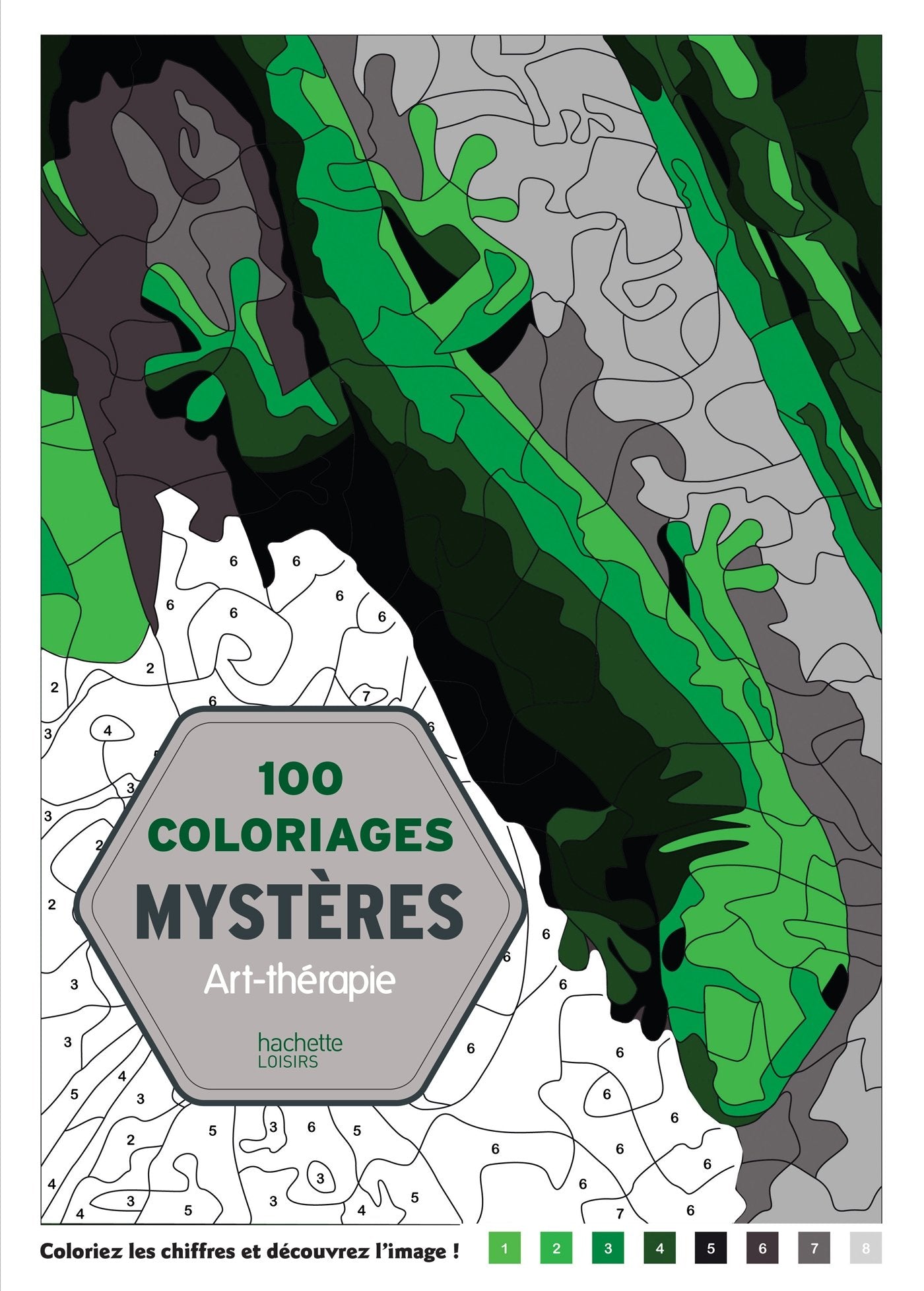 100 Coloriages mystères: Art-thérapie 9782012386457
