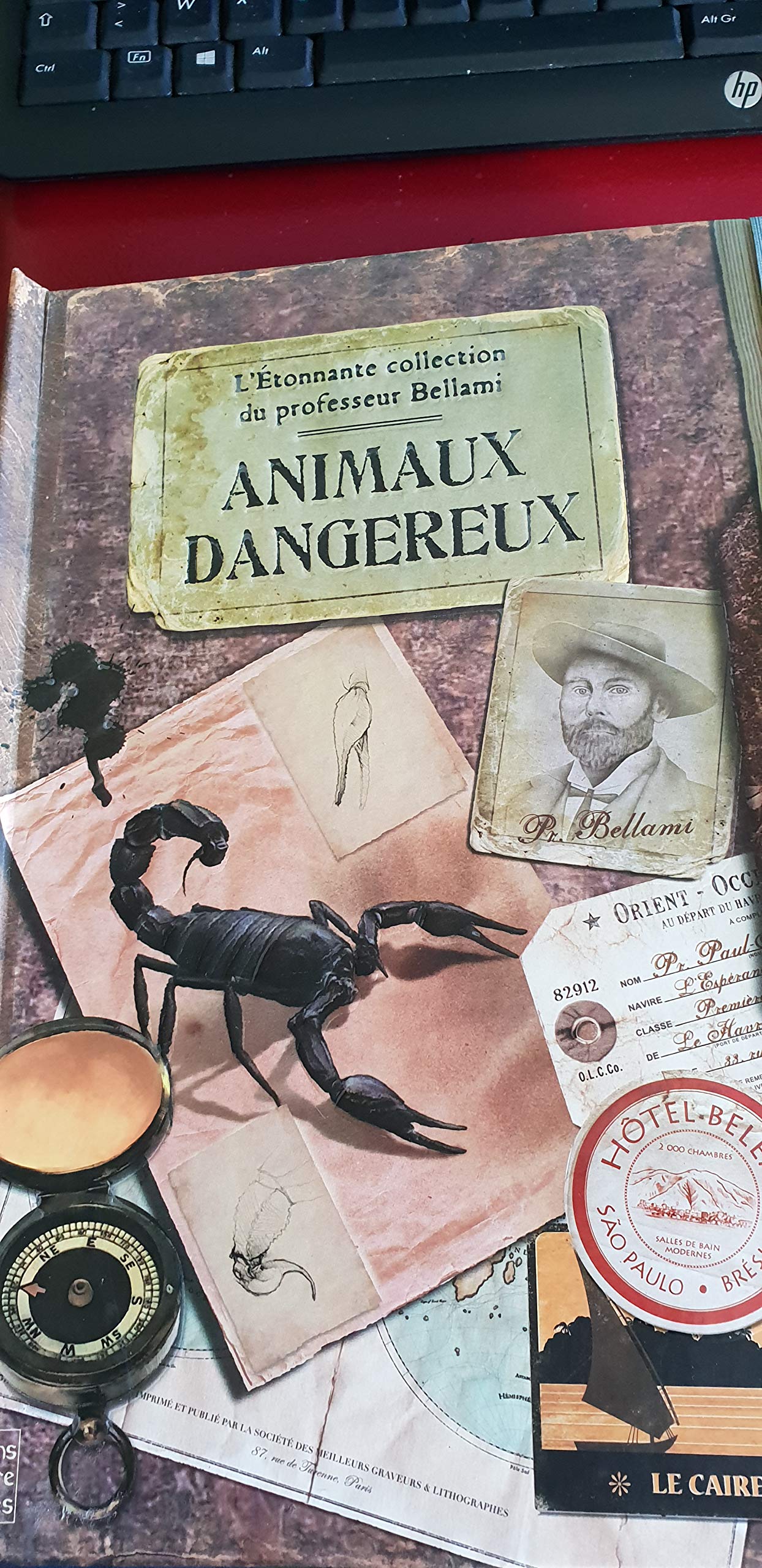 L'étonnante collection du professeur Bellami: animaux dangereux 9782841968145