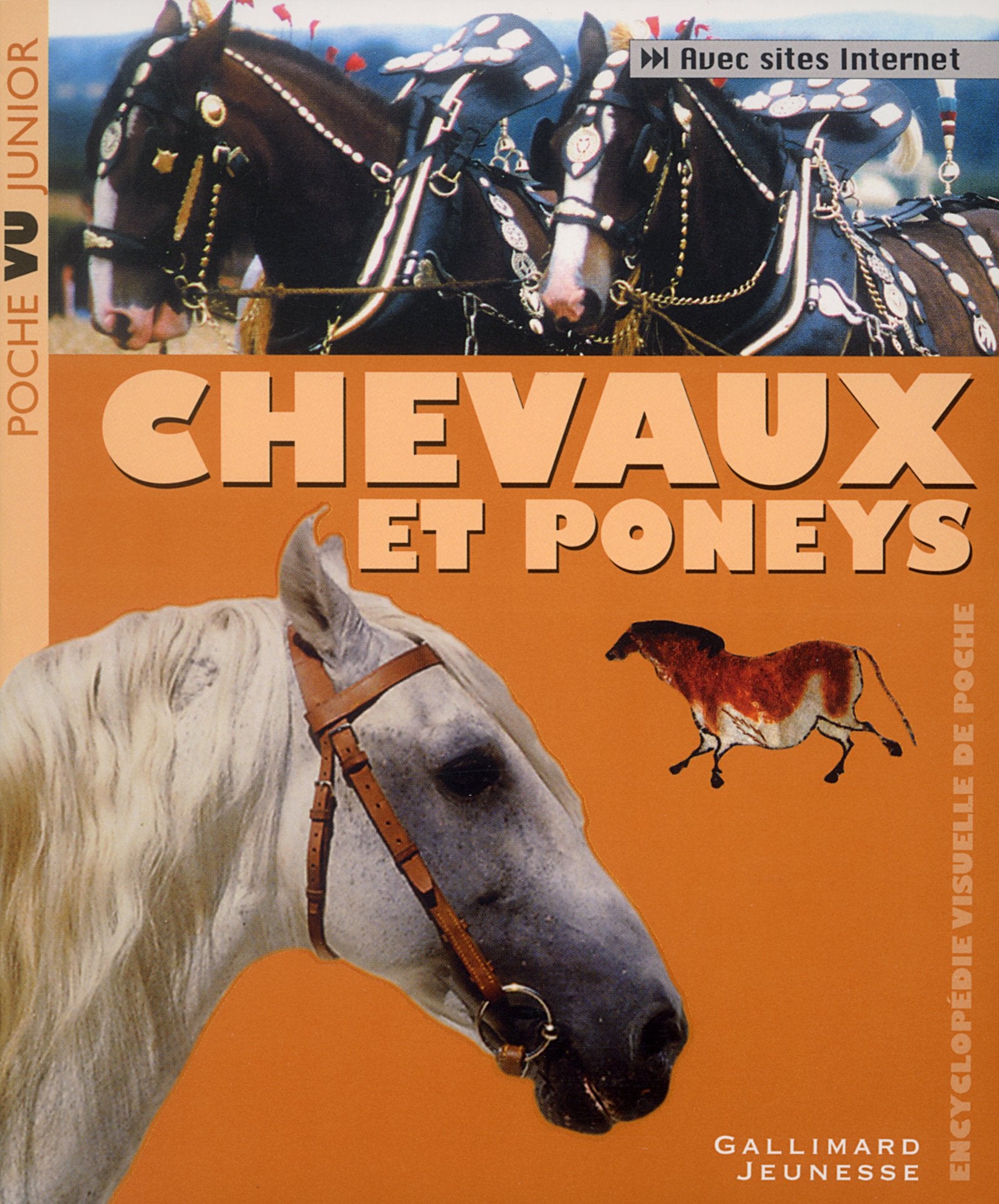Chevaux et poneys 9782070553105