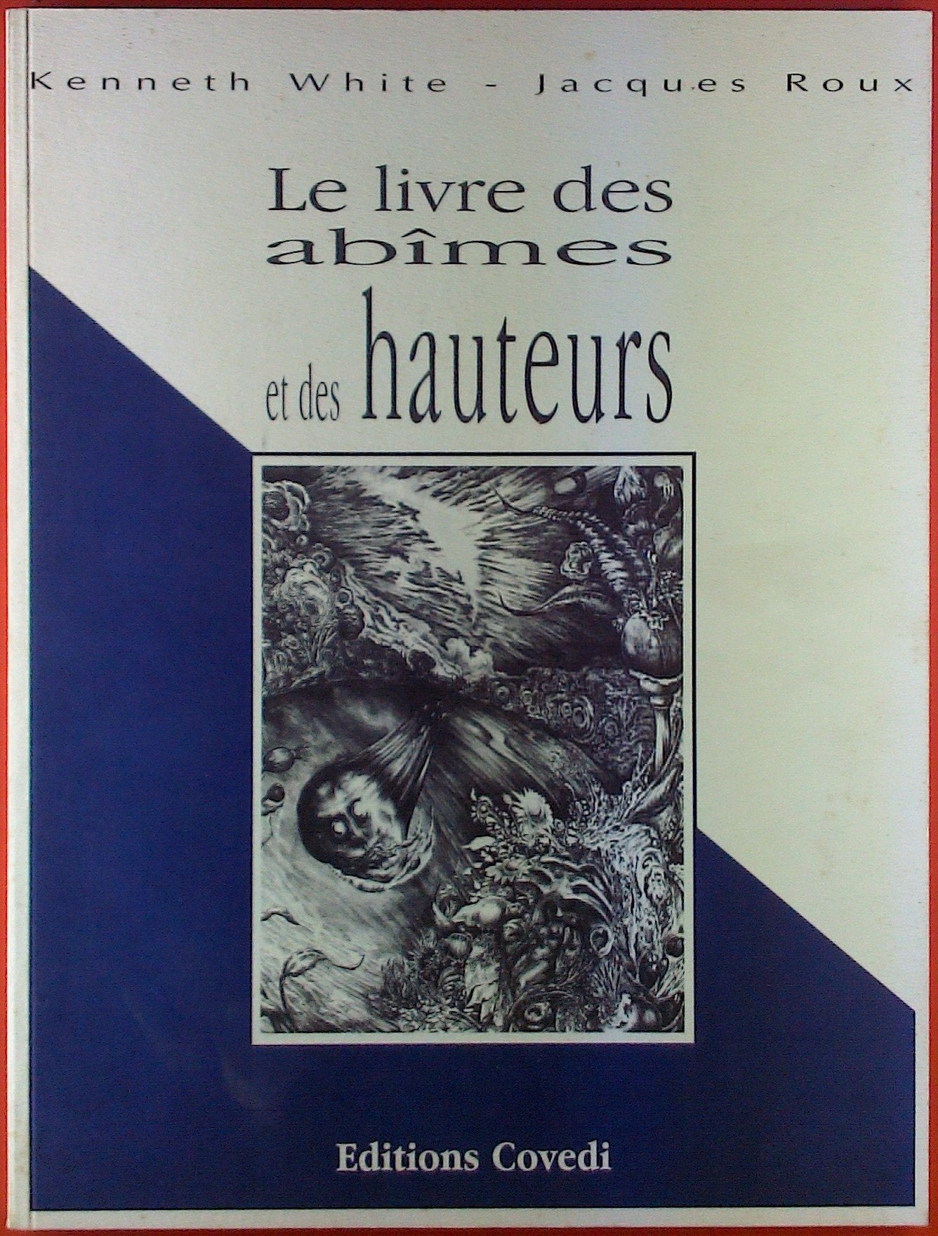 Le livre des abîmes et des hauteurs 9782911852039