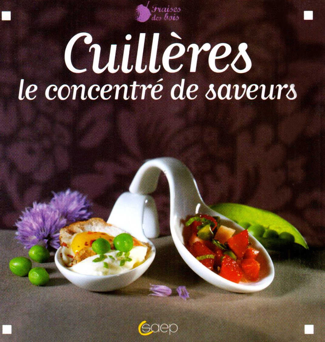 Cuillères: Le concentré de saveurs 9782737280214