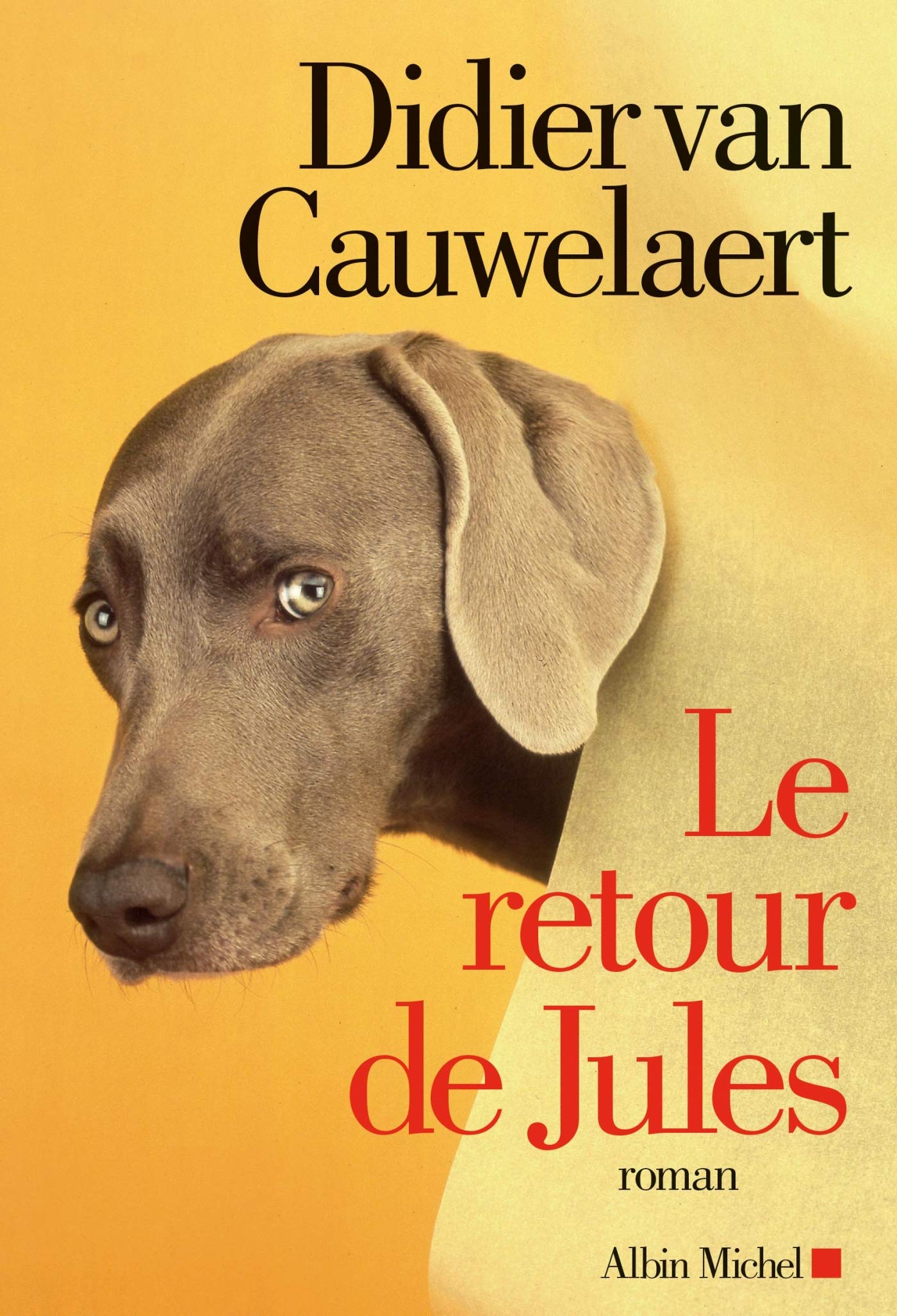 Le Retour de Jules 9782226398932