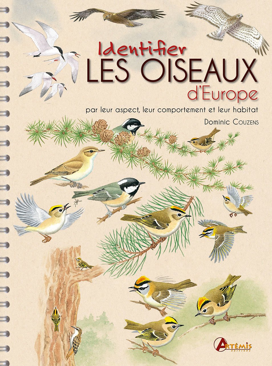 Identifier les oiseaux d'Europe 9782816003383