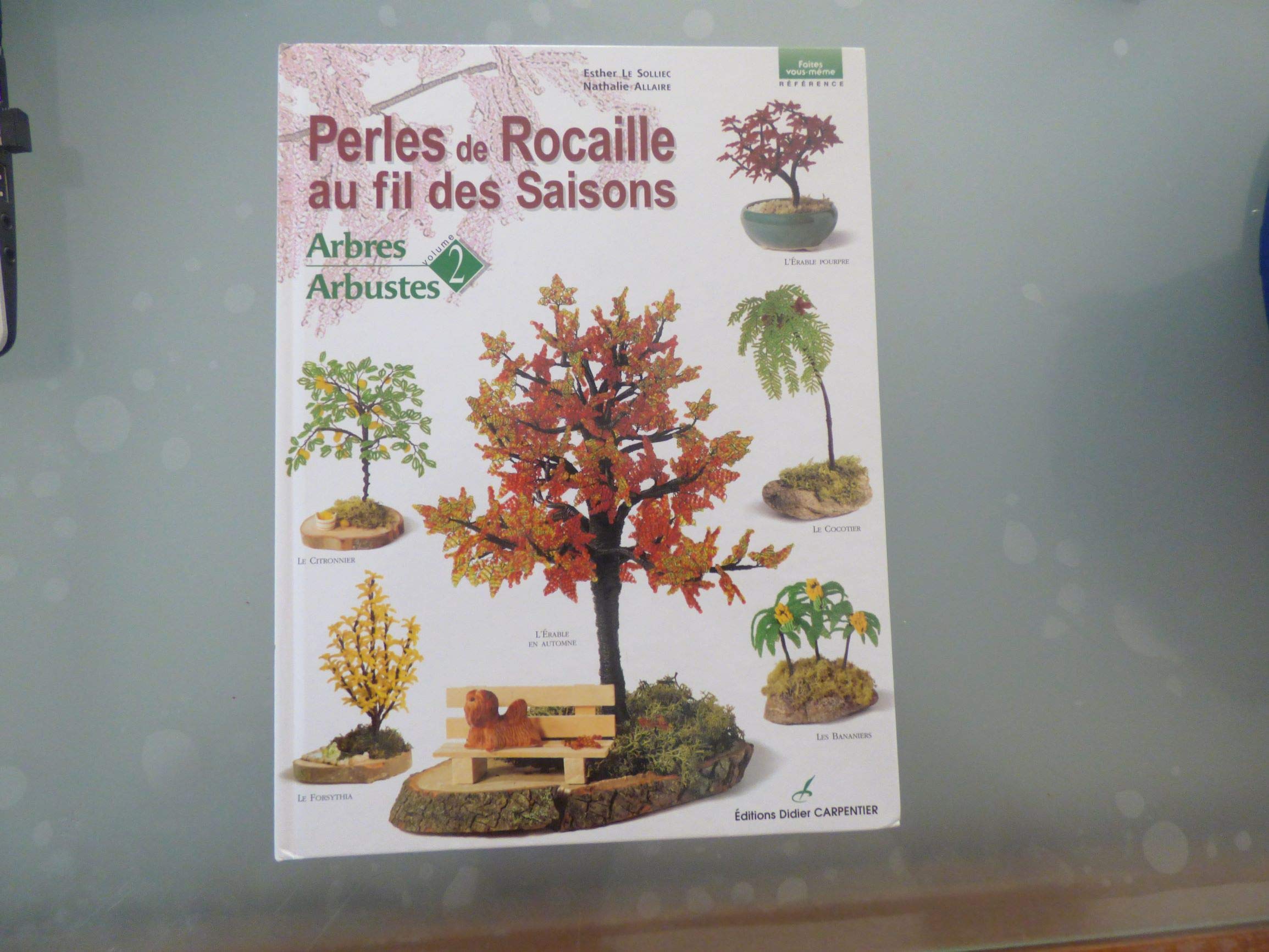 Perles de rocaille au fil des saisons, volume 2 : Arbres - Arbustes 9782841671755