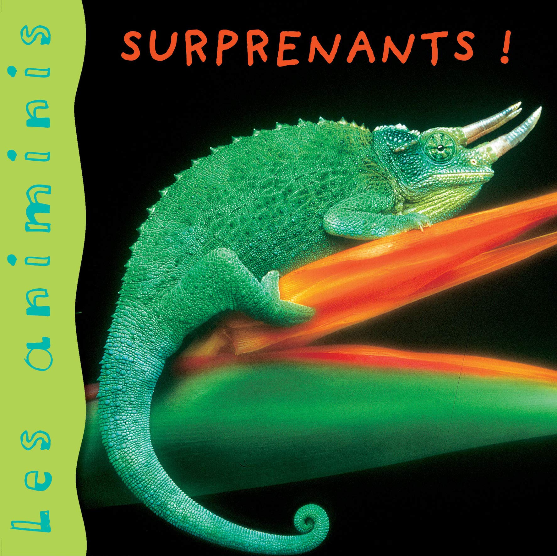 Les Animinis : Animaux surprenants 9782740419021