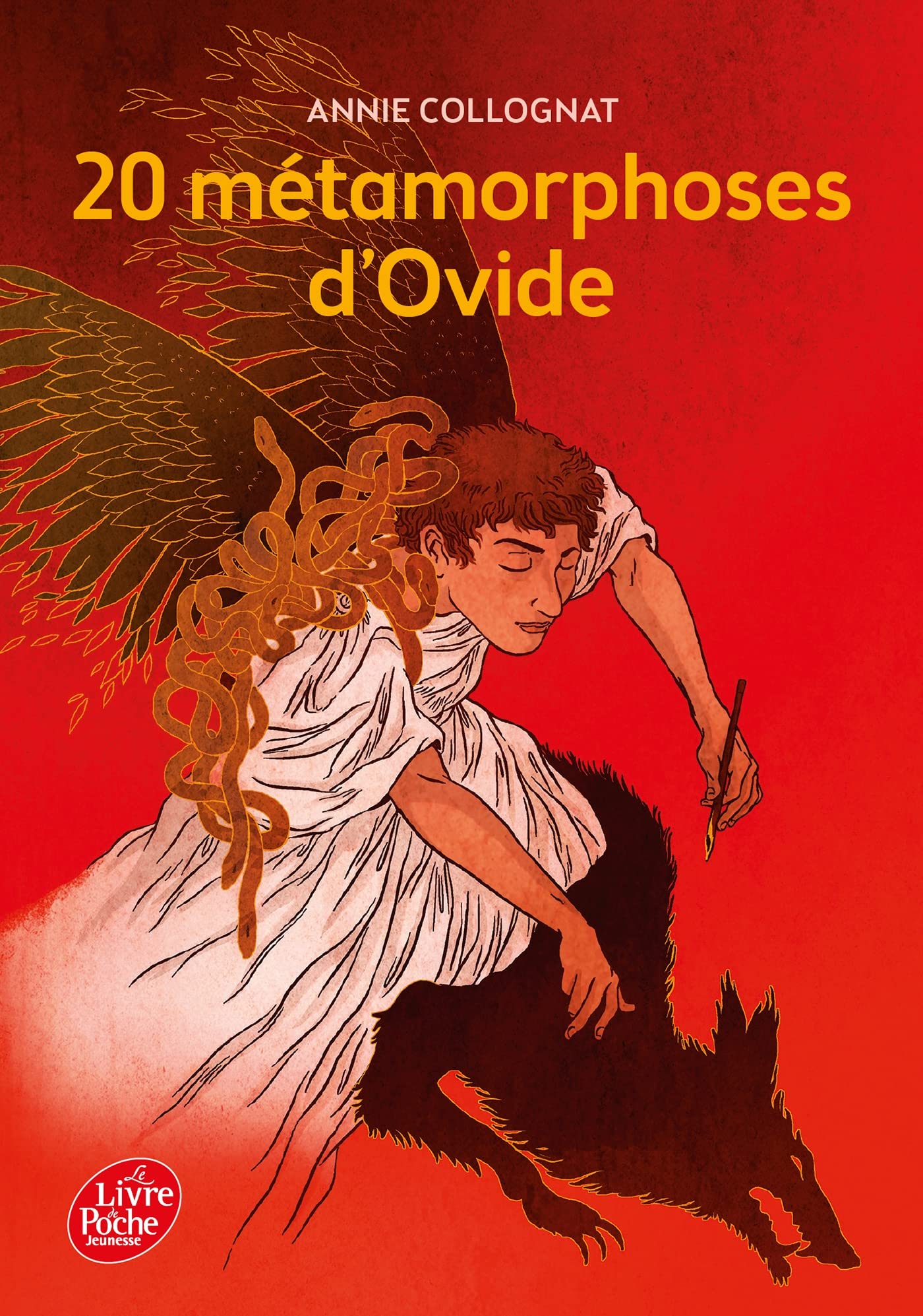 20 métamorphoses d'Ovide 9782013285001