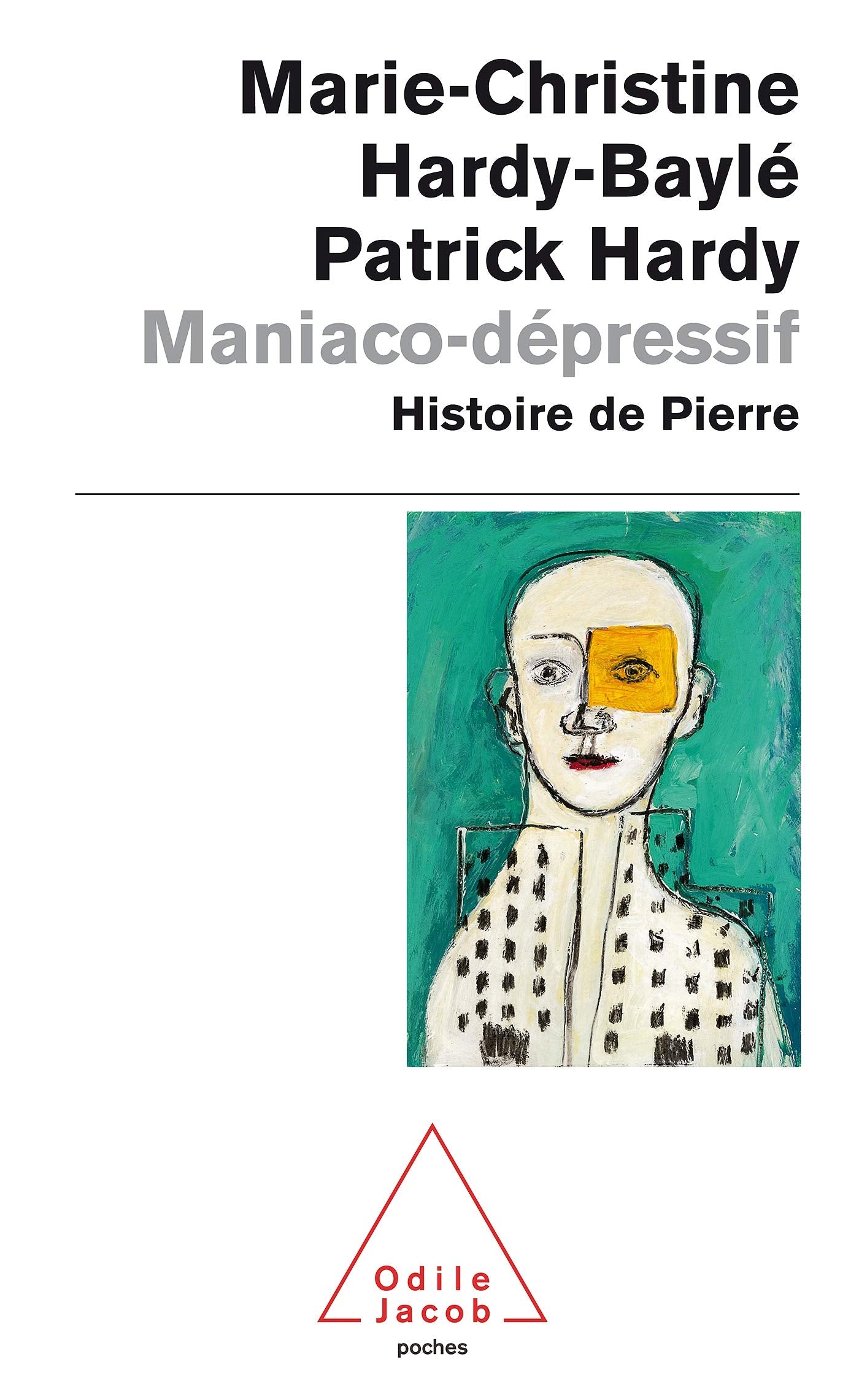Maniaco-dépressif: Histoire de Pierre 9782738116383