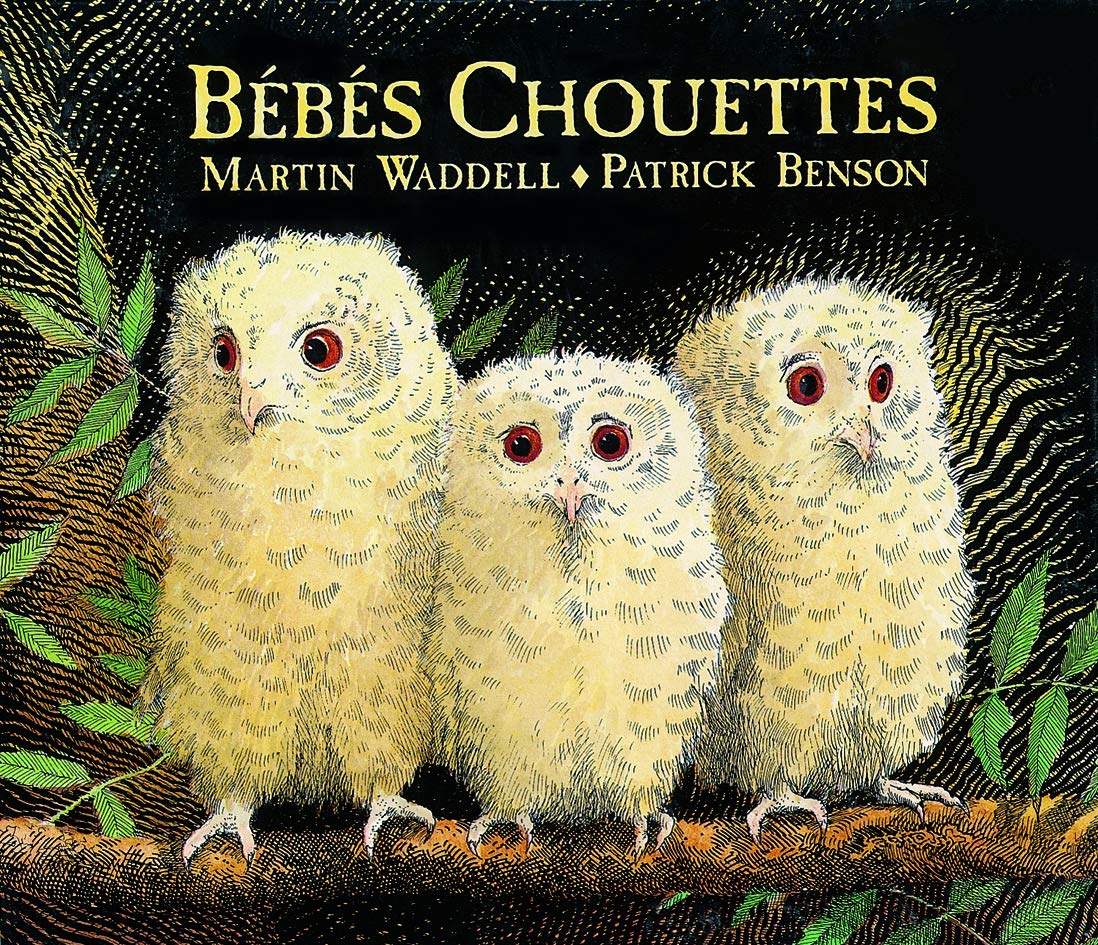 Bébés chouettes 9782211017718