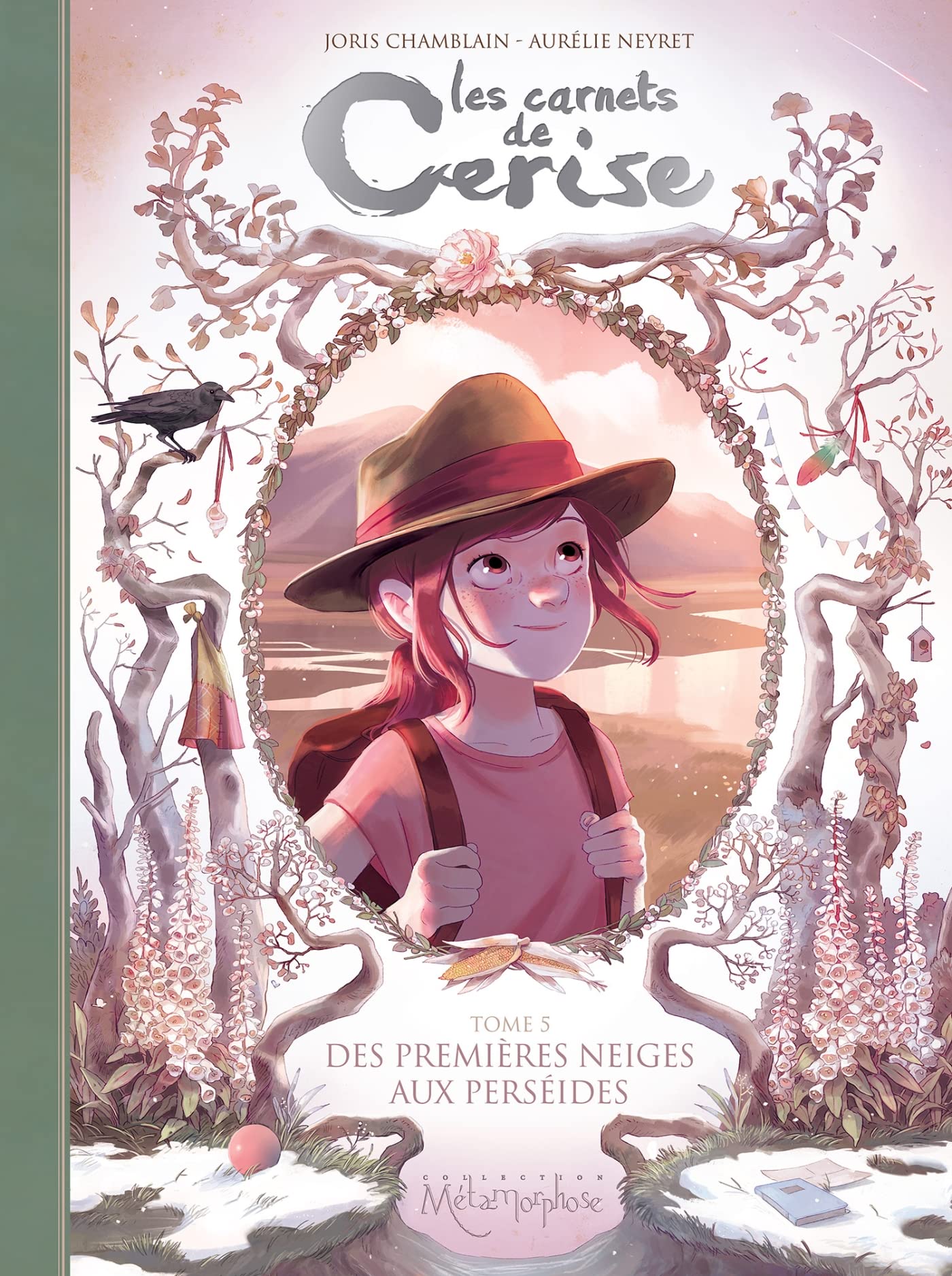 Les Carnets de Cerise T05: Des premières neiges aux perséides 9782302064928