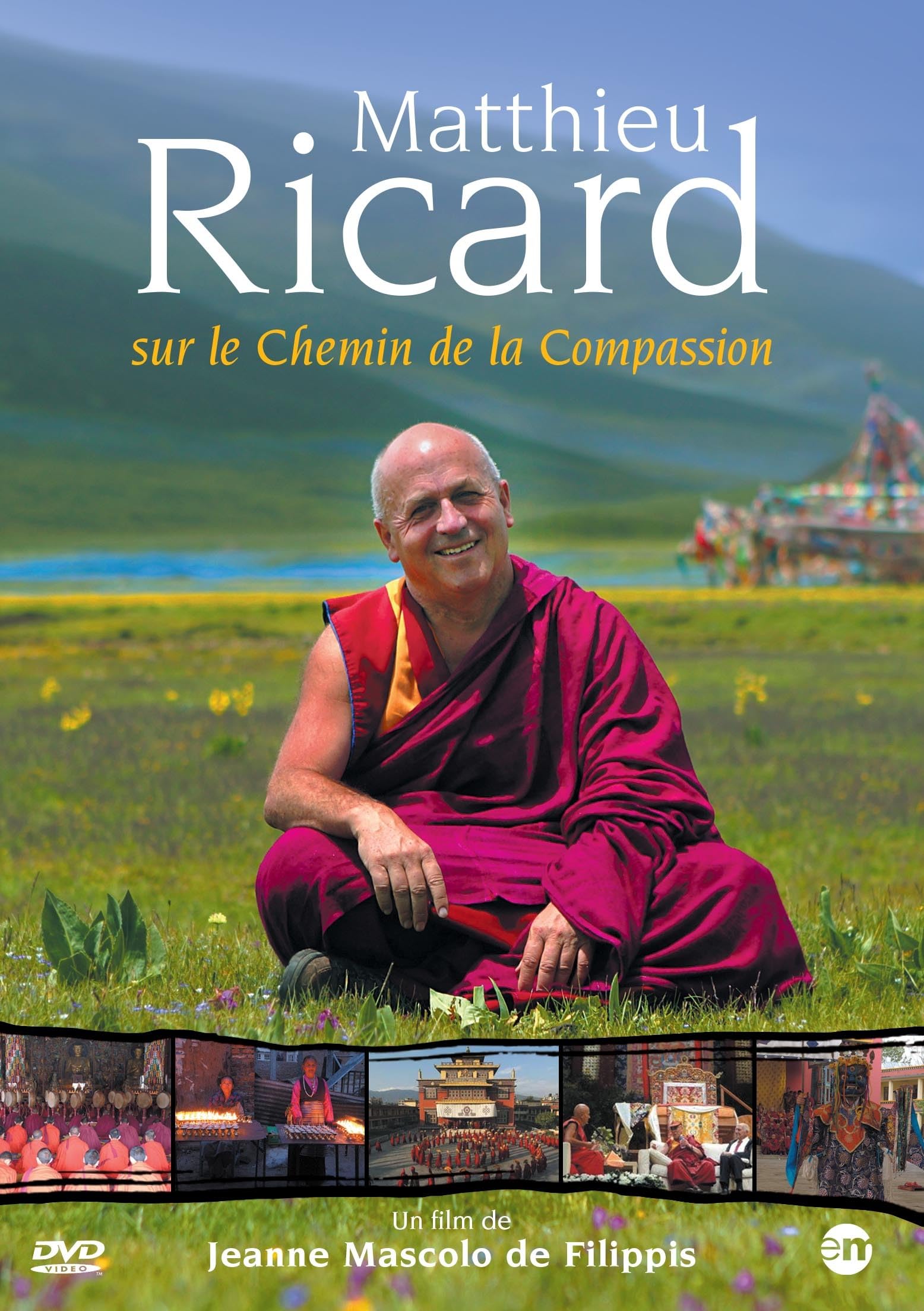 Matthieu Ricard : sur Les chemins de la Compassion 3346030026335