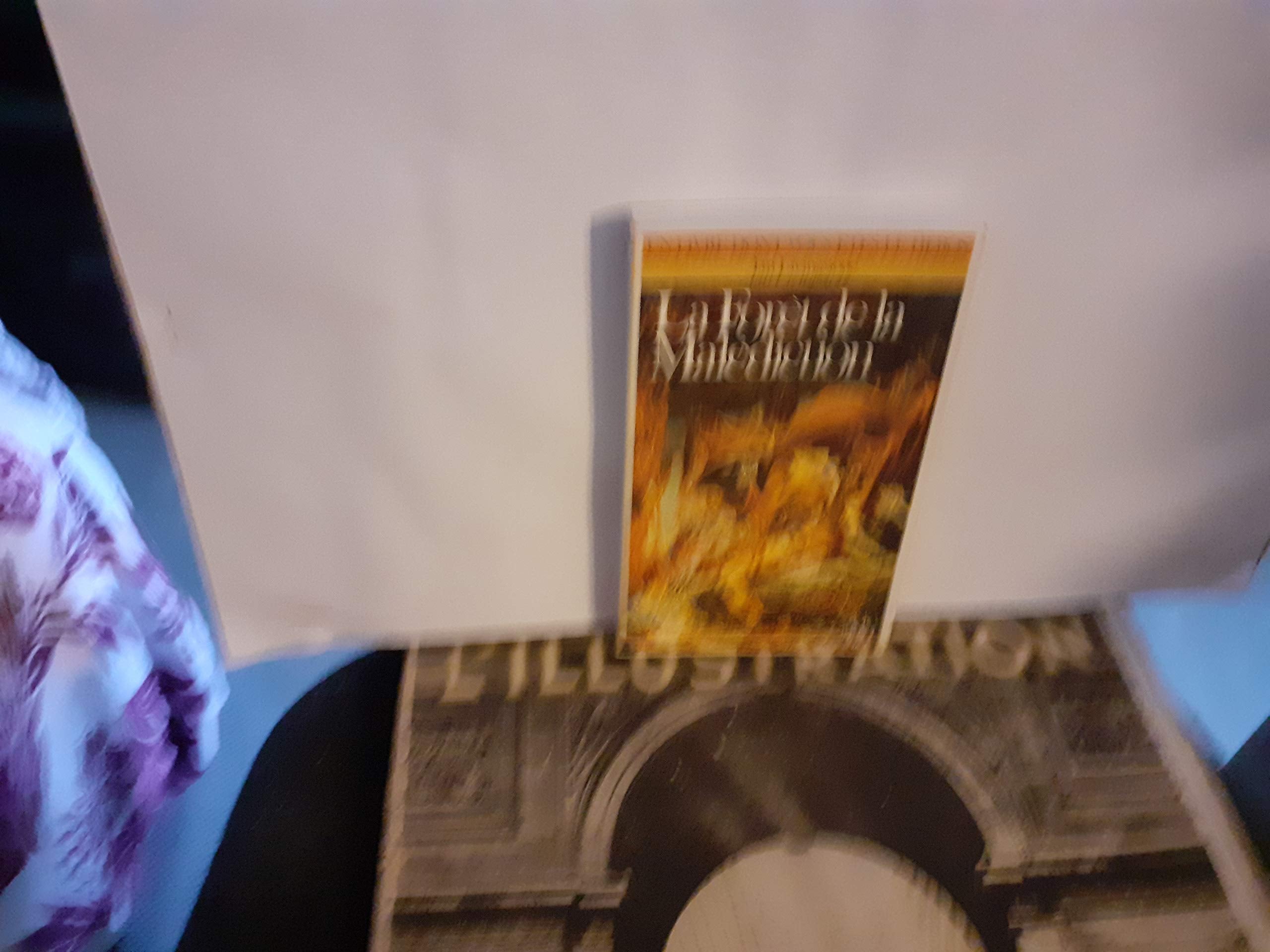Defis Fantastiques Tome 3 : La Foret De La Malediction 9782070332694