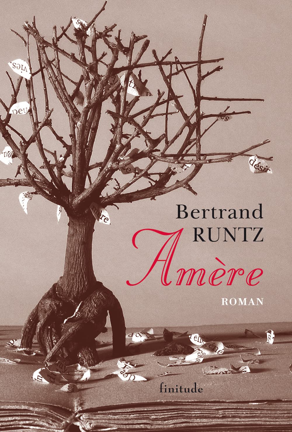 Amère 9782912667274