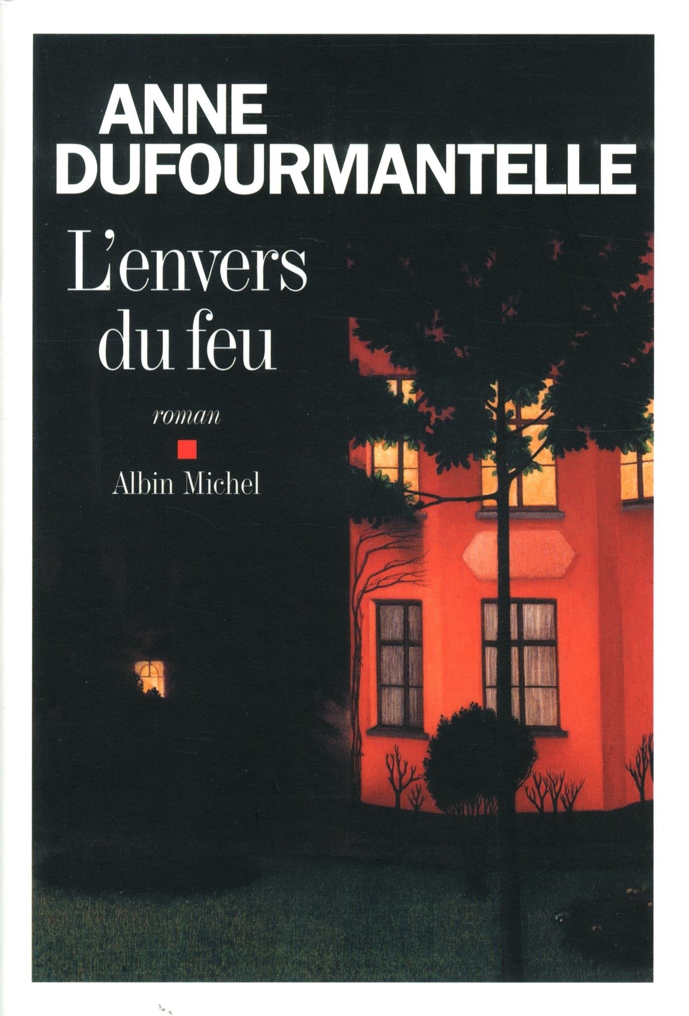 L'Envers du feu 9782226318077