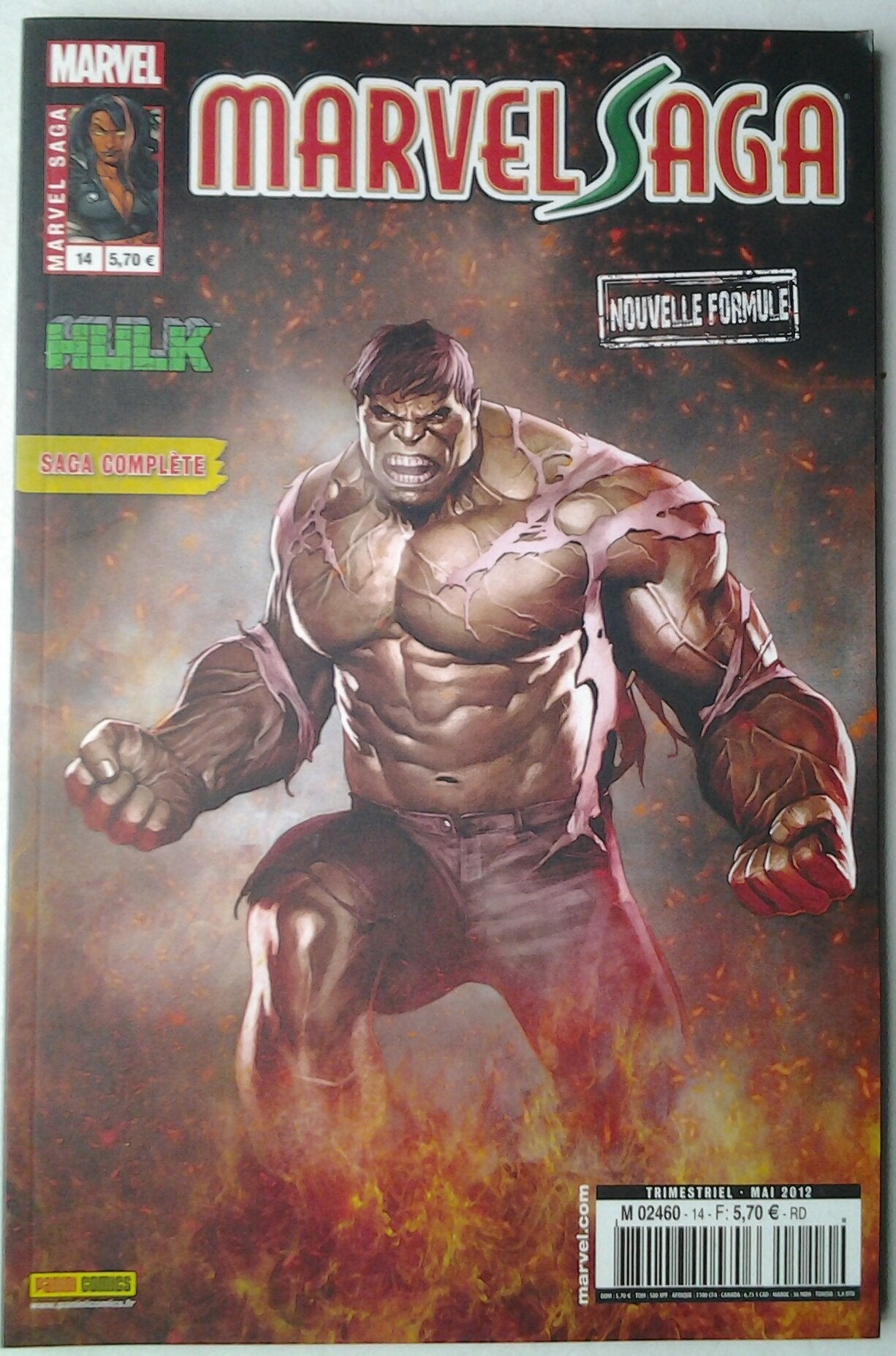 Marvel saga 14 9782809425826