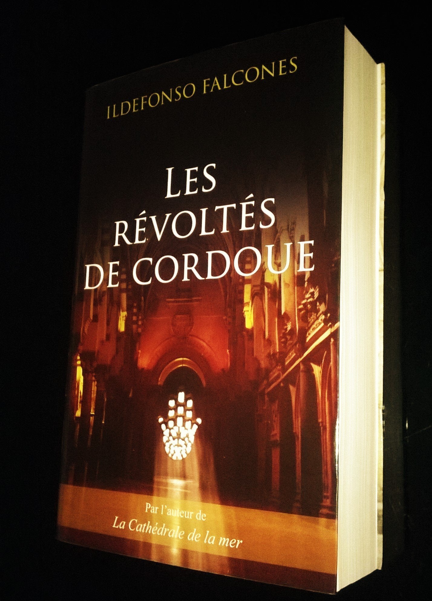 Les révoltés de Cordoue 9782298052343