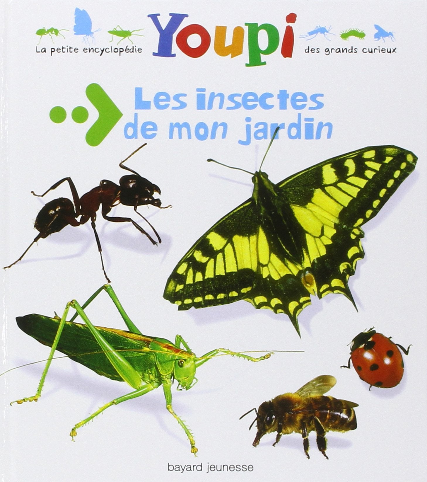 Les insectes de mon jardin 9782747015486