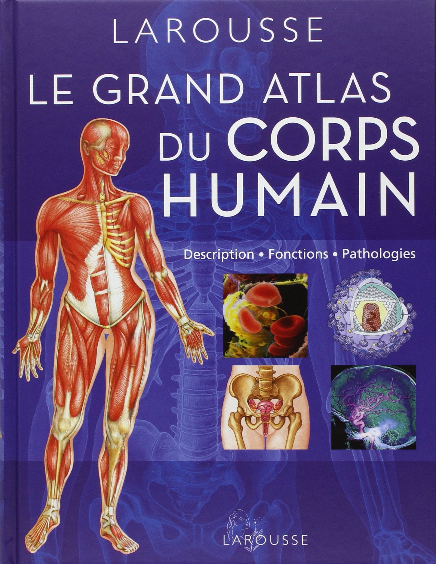 Grand Atlas du corps humain 9782035886910