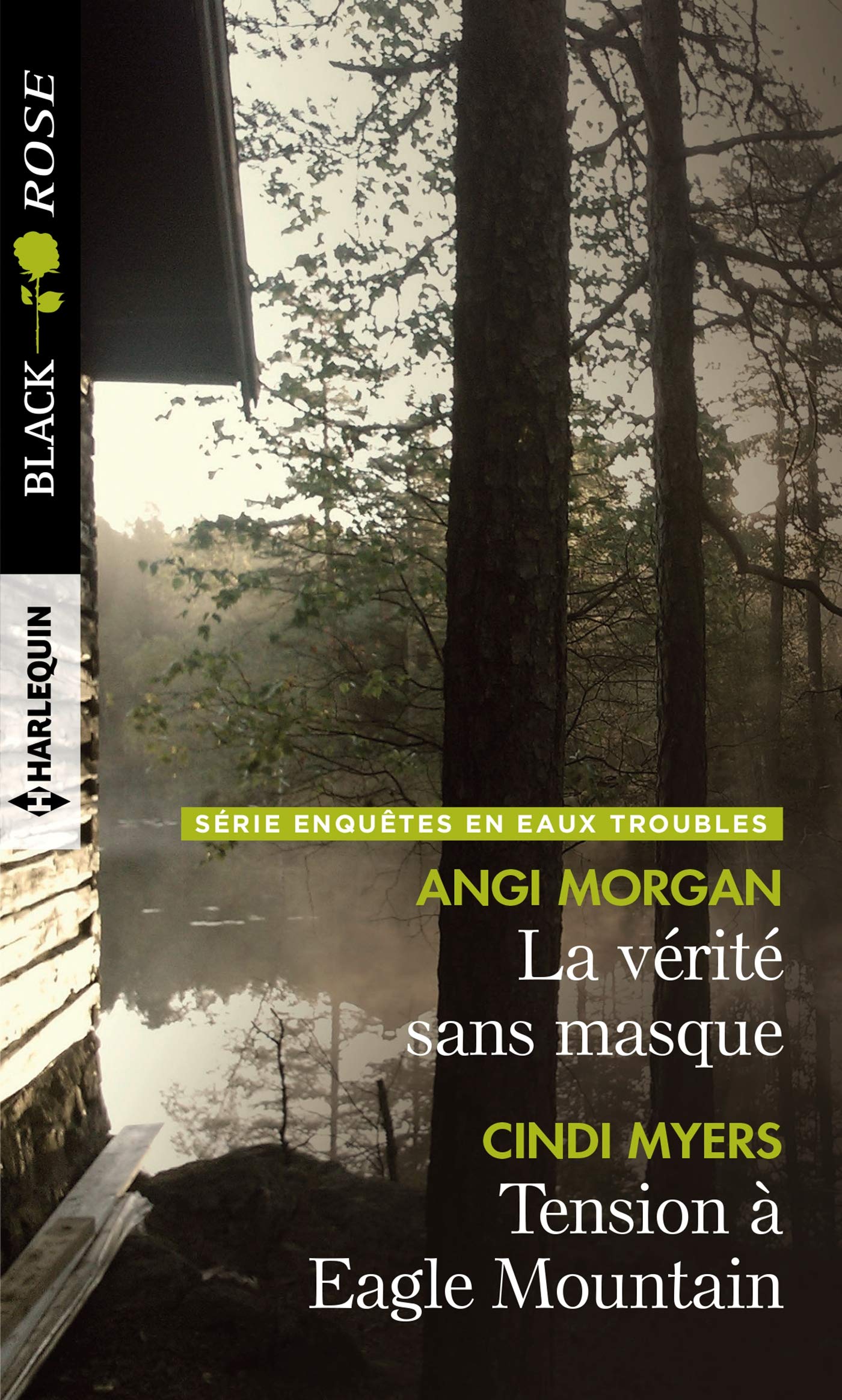La vérité sans masque - Tension à Eagle Mountain 9782280411011