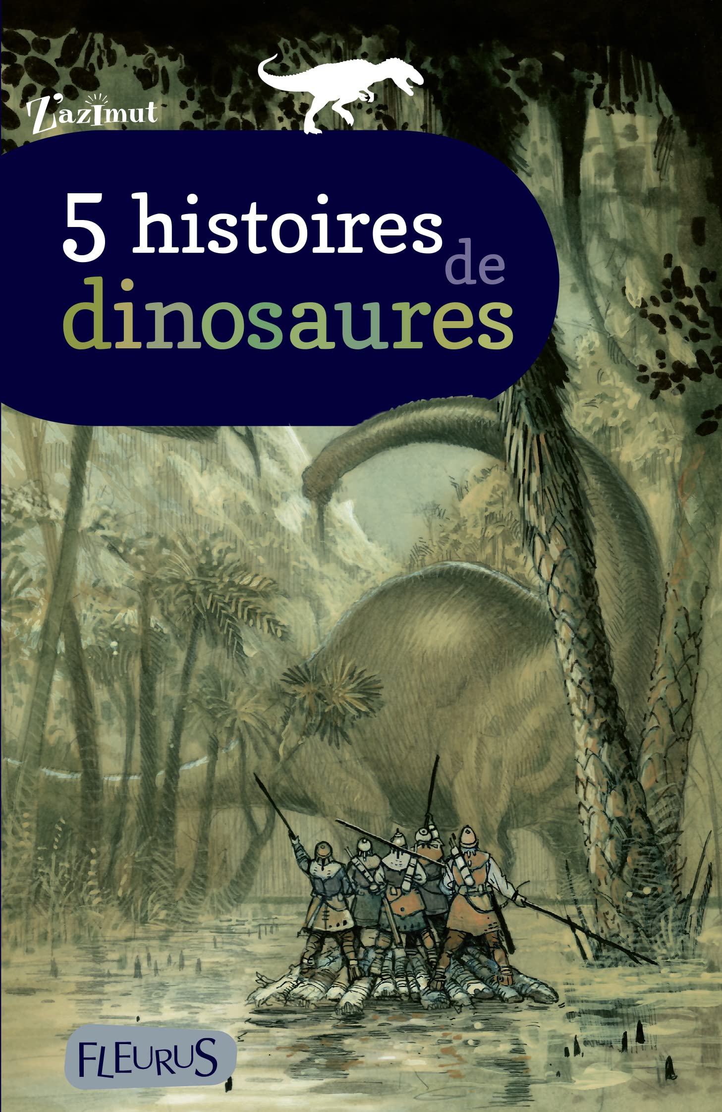 5 histoires de dinosaures 9782215154709