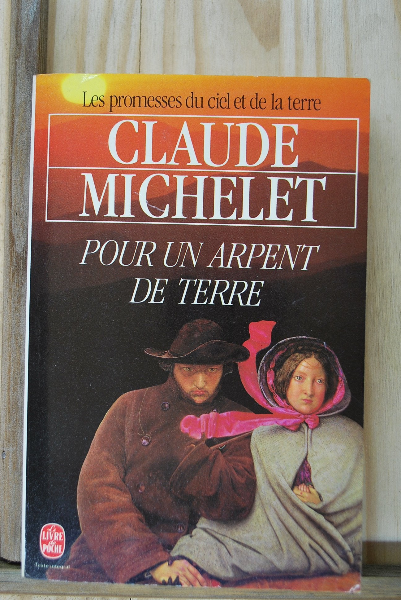 Les Promesses Du Ciel Et De La Terre Tome 2 : Pour Un Arpent De Terre 9782253046073