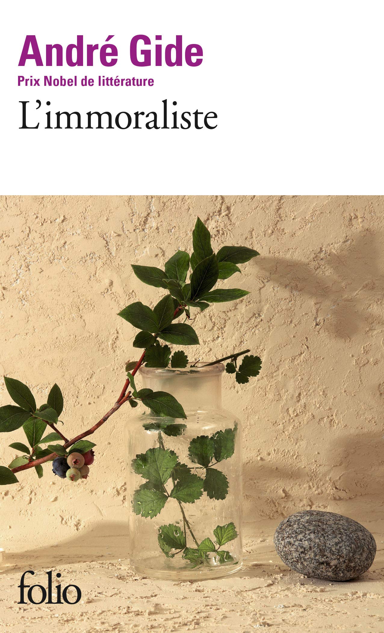 L'immoraliste 9782070362295