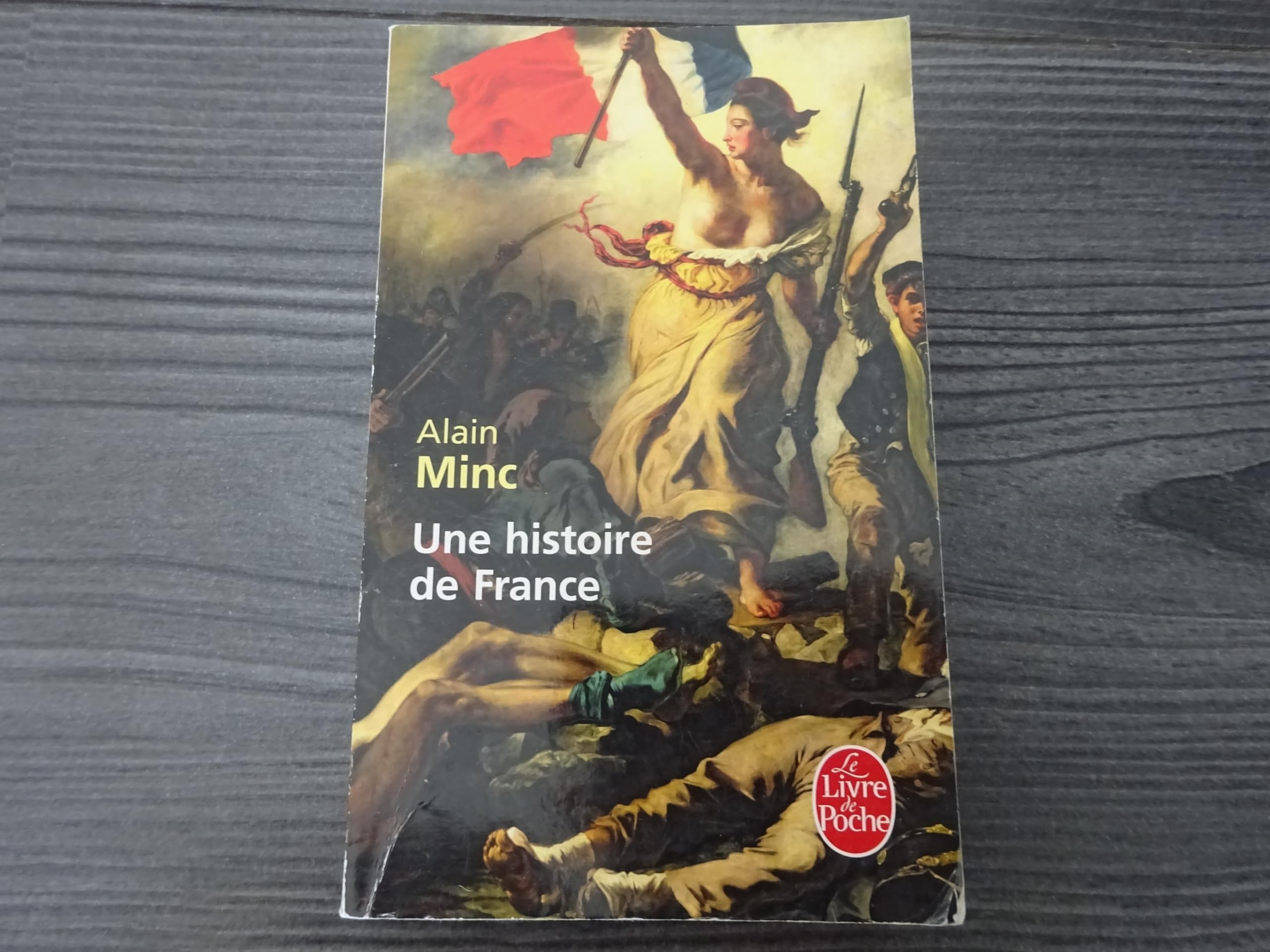 Une histoire de France 9782253128052
