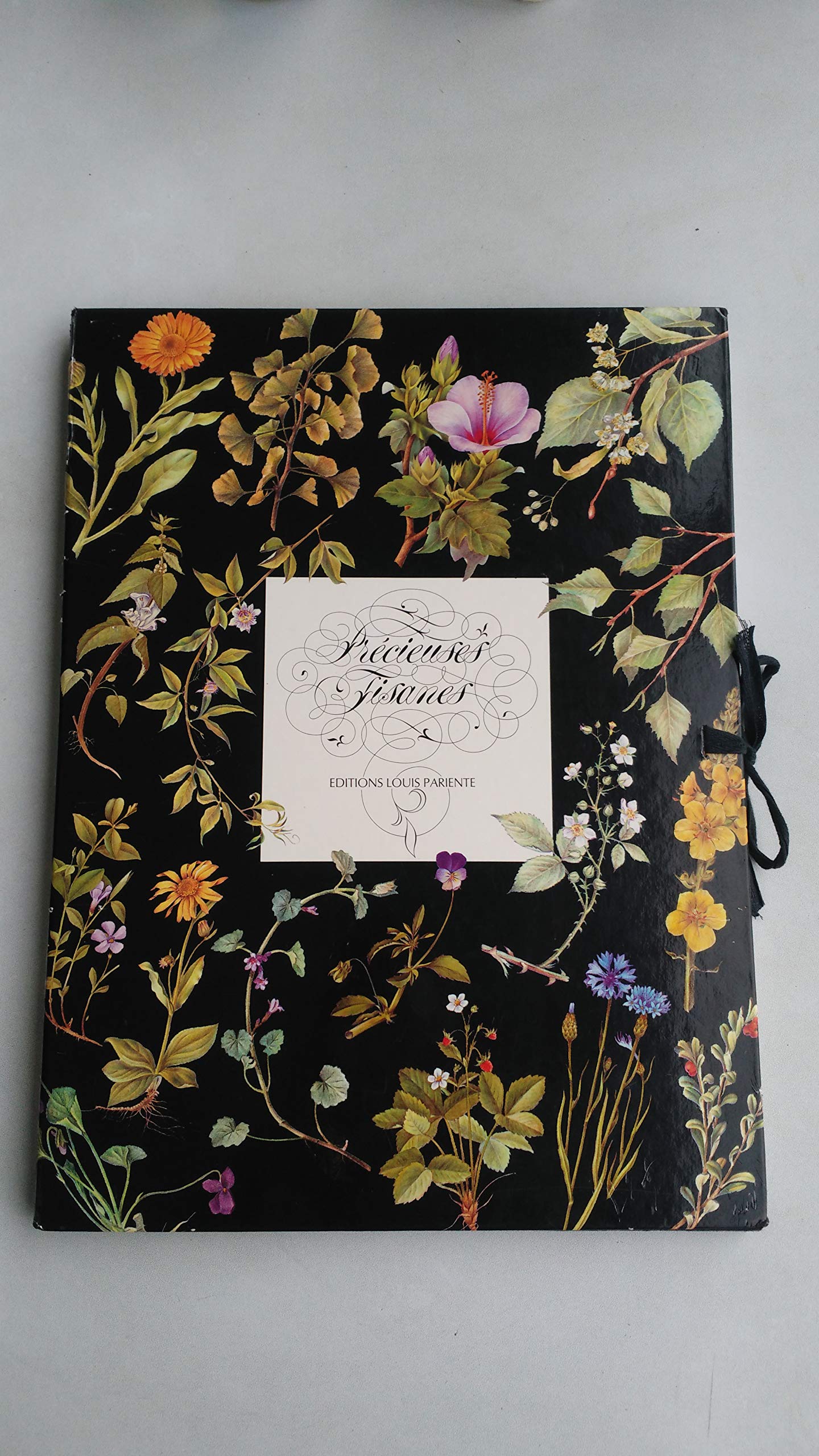 Précieuses tisanes 9782840590156