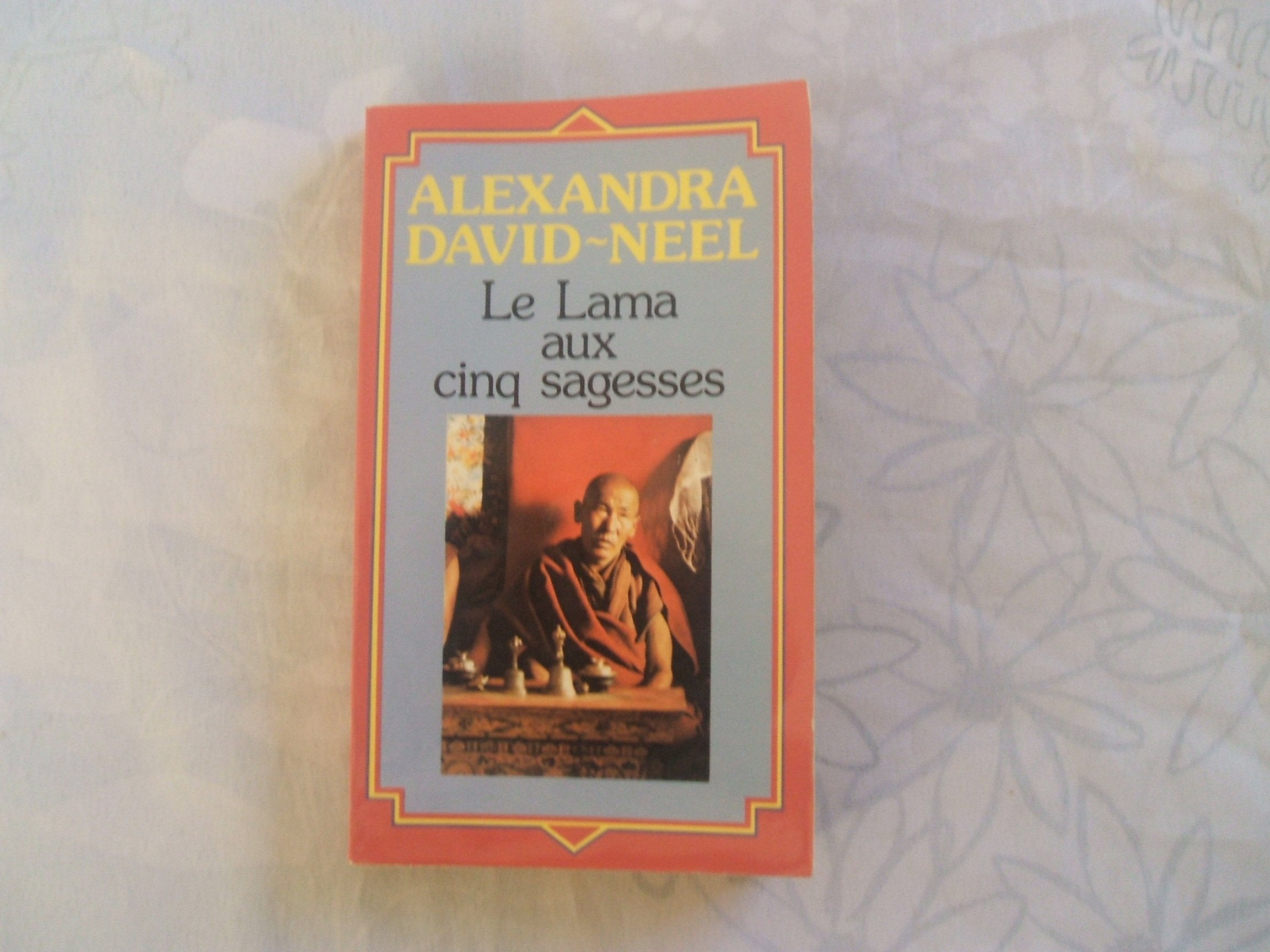 Le lama et les cinq sagesses 9782266011150