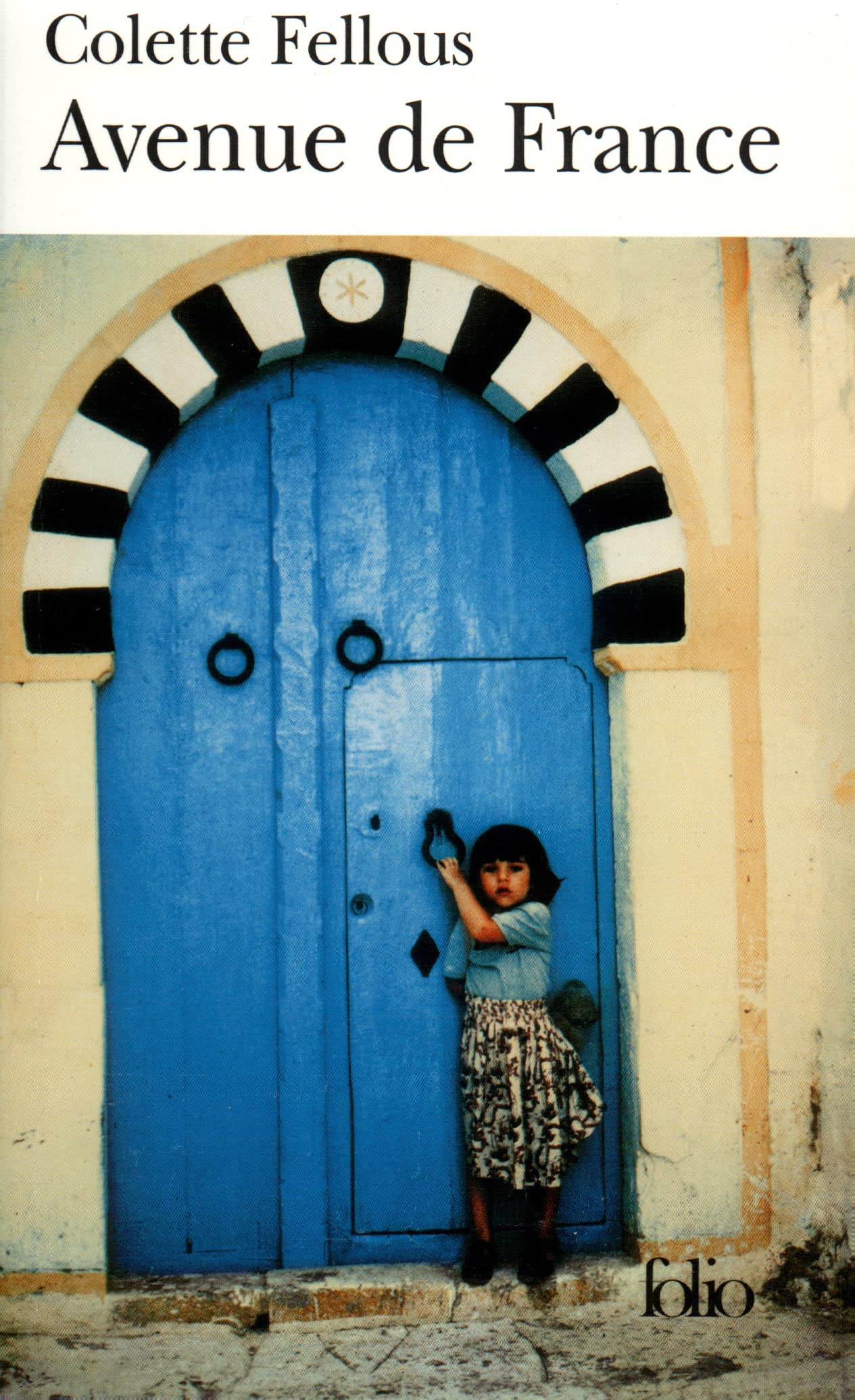 Avenue de France 9782070305278