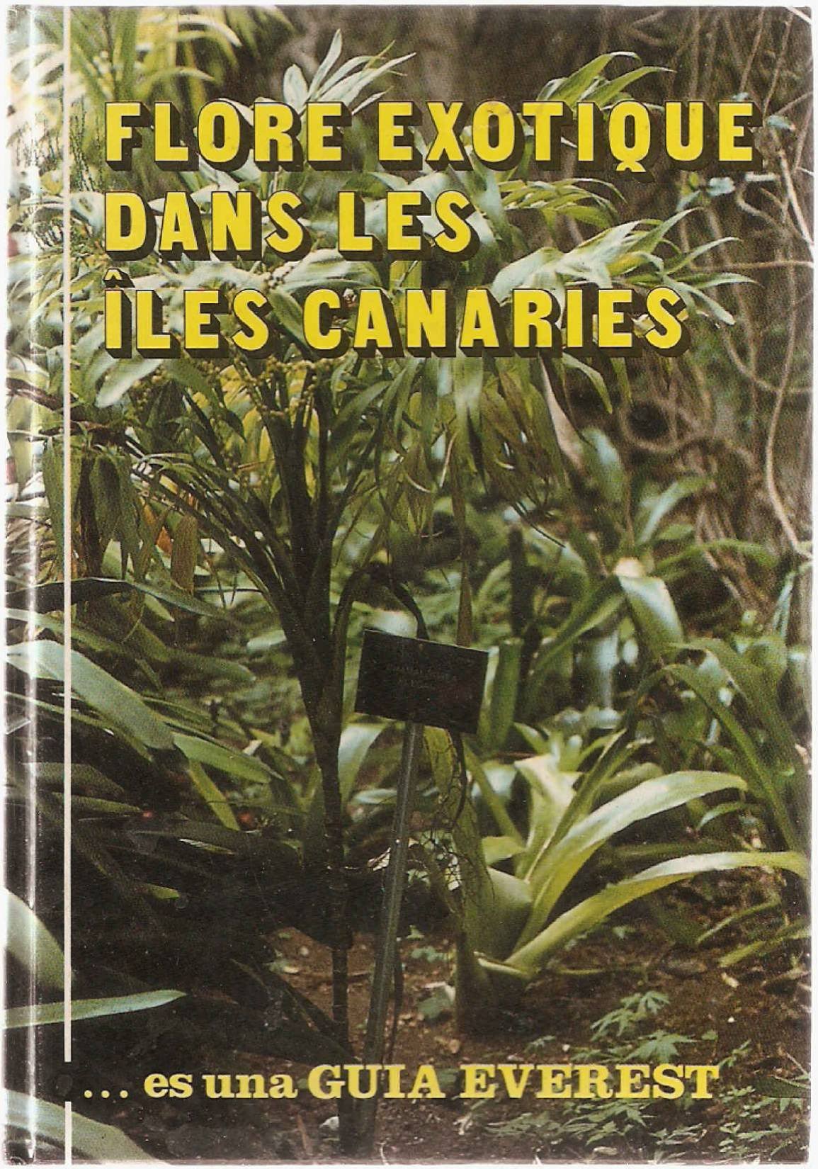 Flore exotique dans les îles Canaries 9788424138875