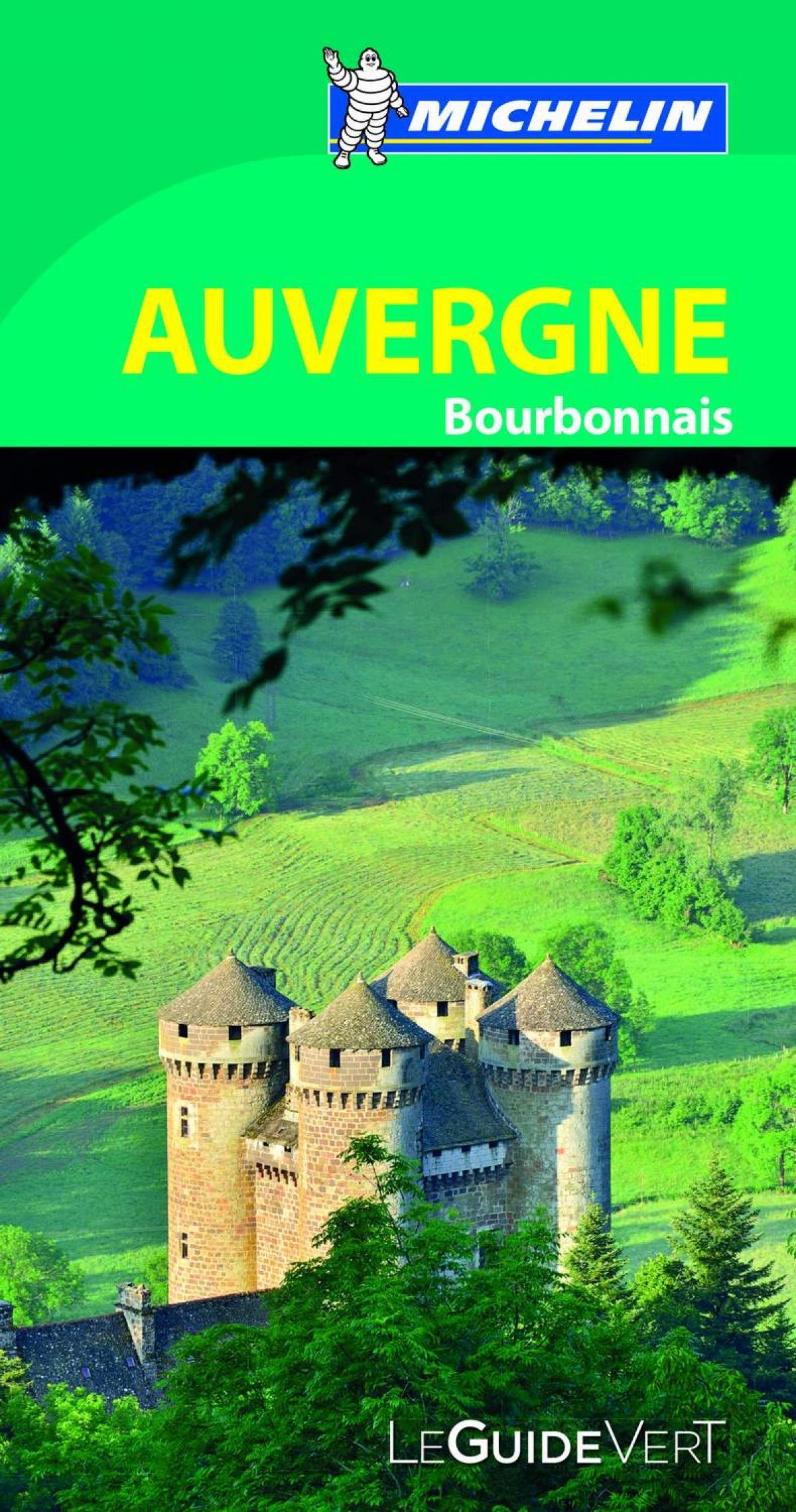 Guide Vert Auvergne 9782067198074
